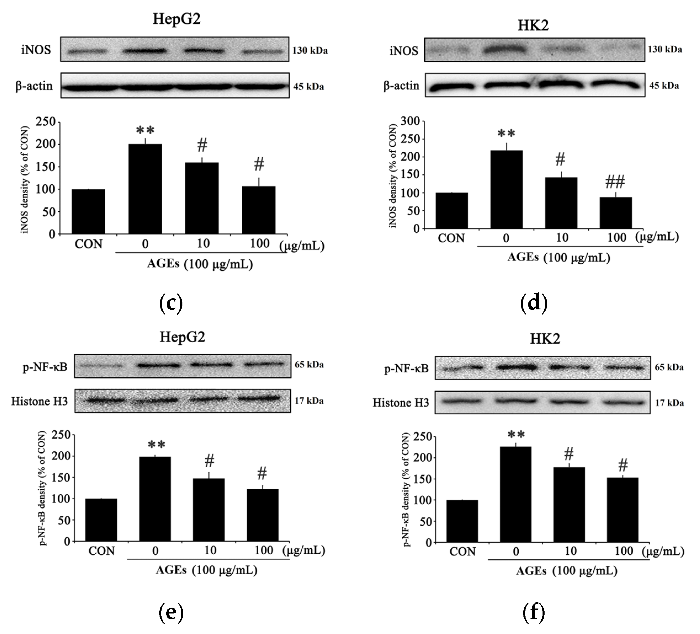 Medicina 58 01519 g003b