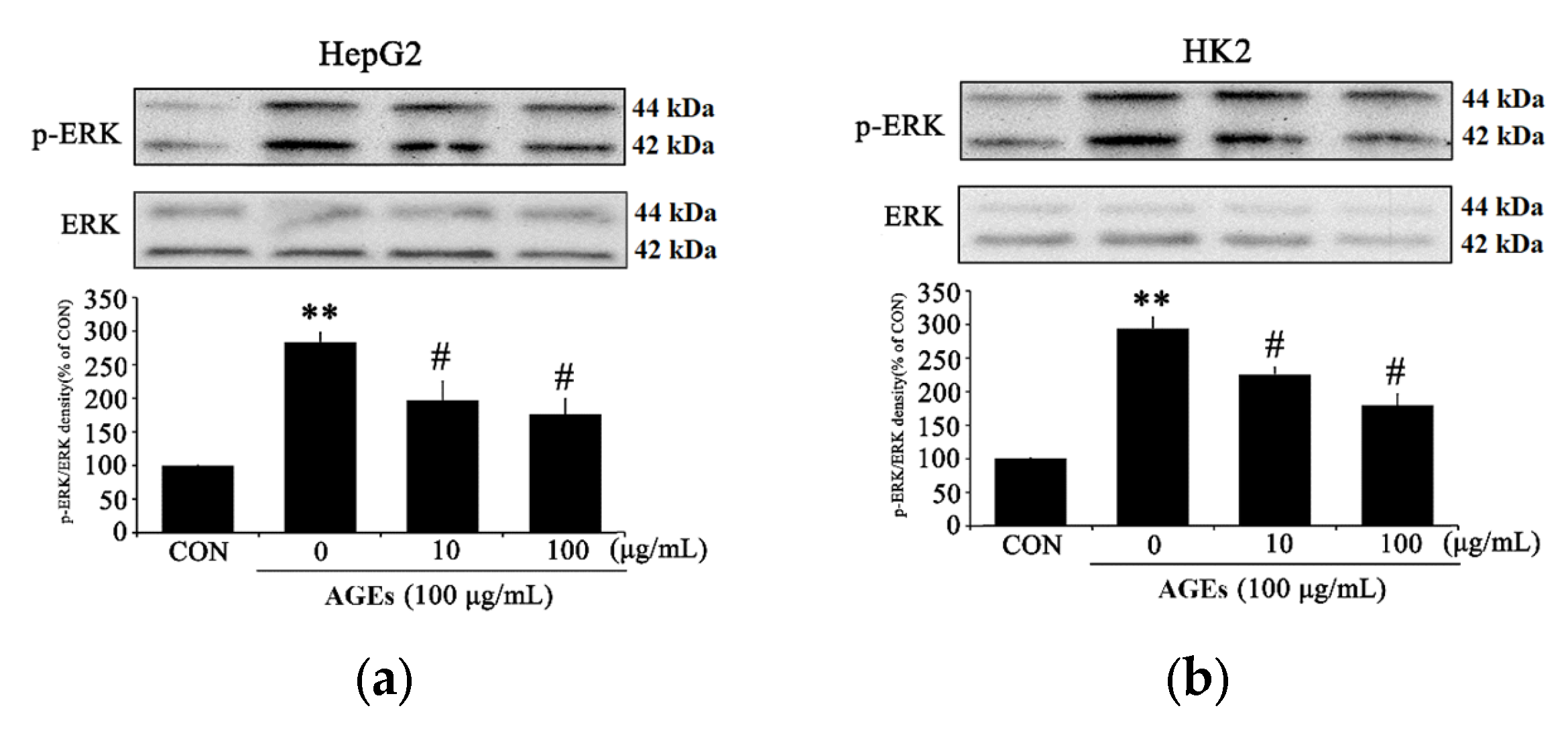 Medicina 58 01519 g004a