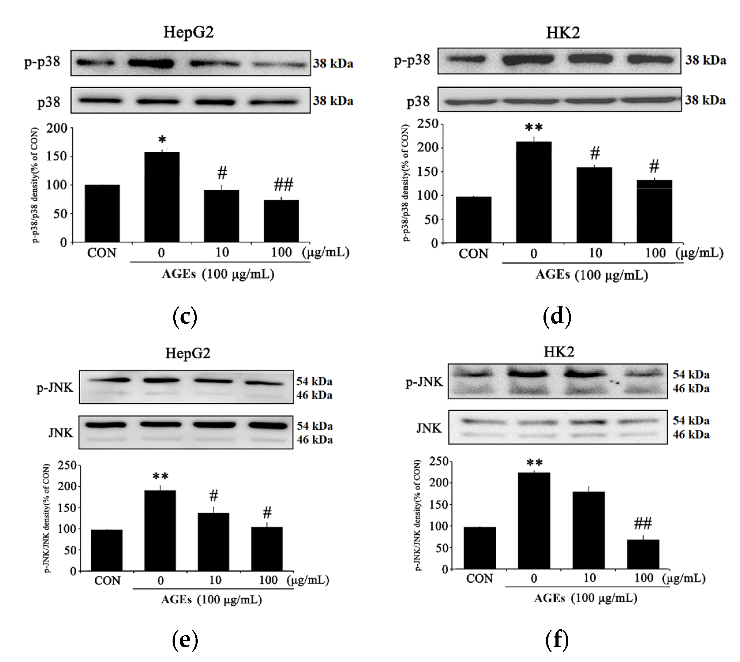 Medicina 58 01519 g004b