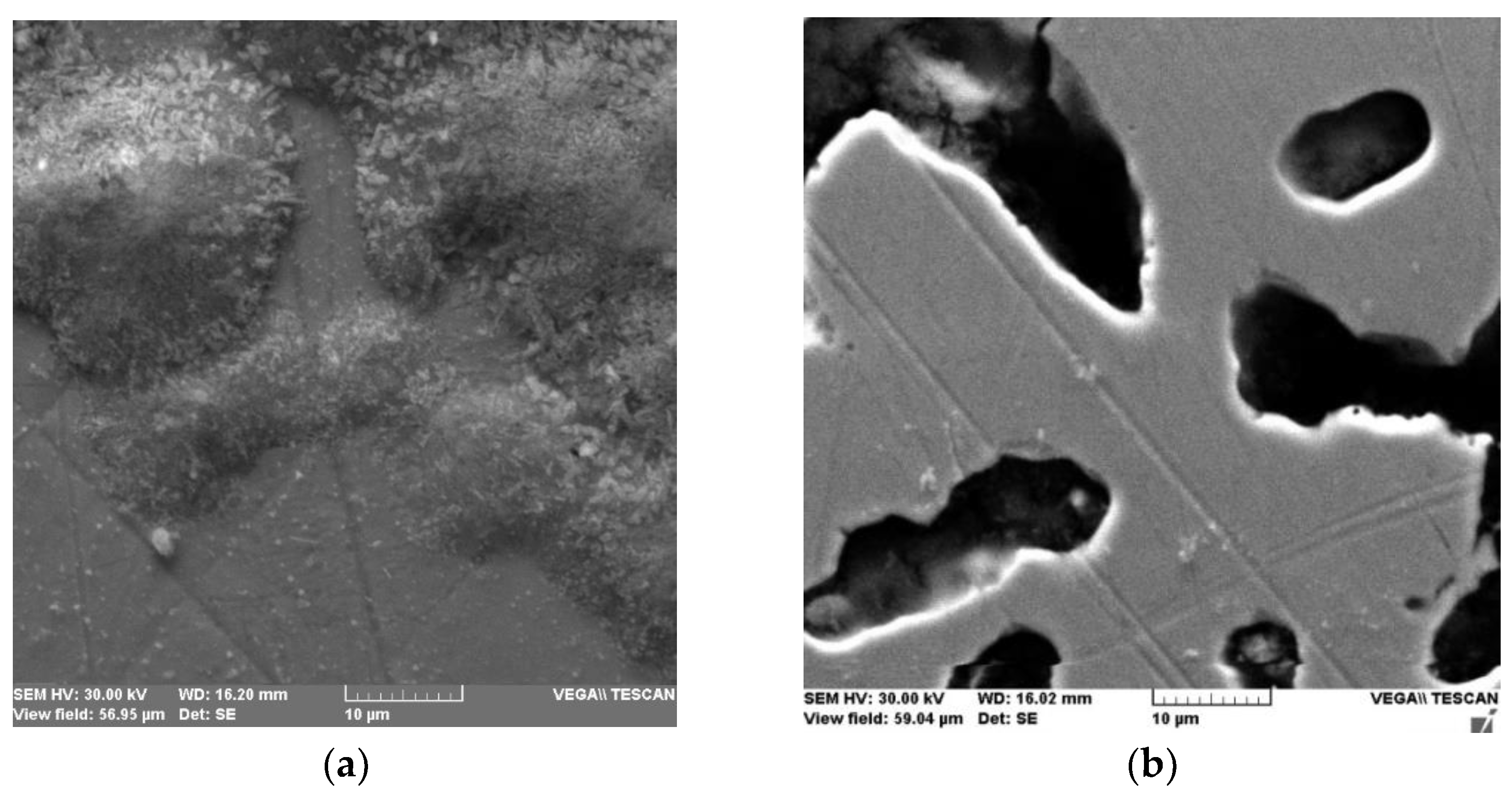 Medicina 58 01524 g003
