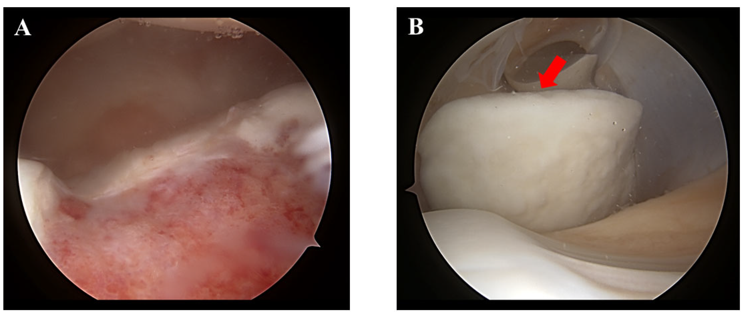 Medicina 58 01528 g003