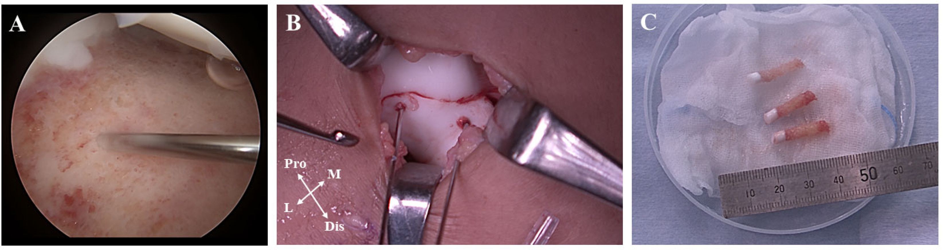 Medicina 58 01528 g004