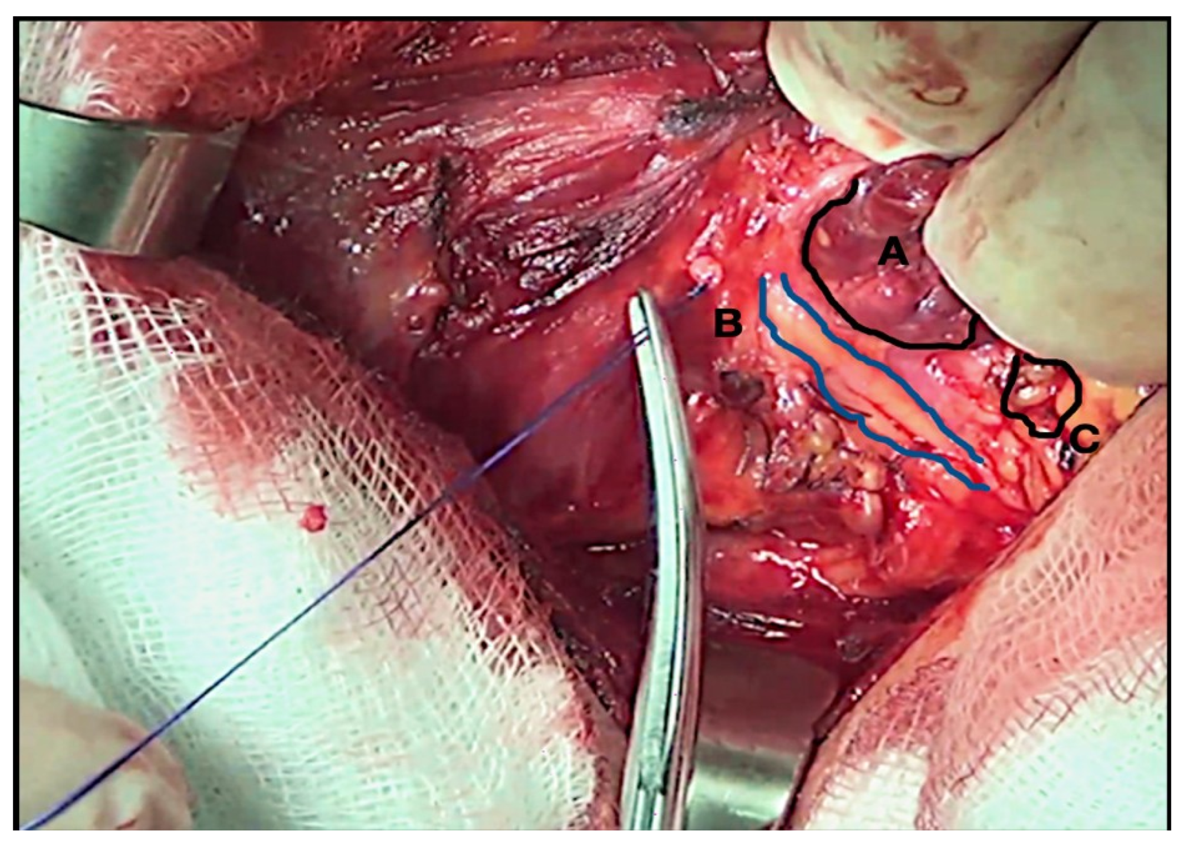 Medicina 58 01560 g003
