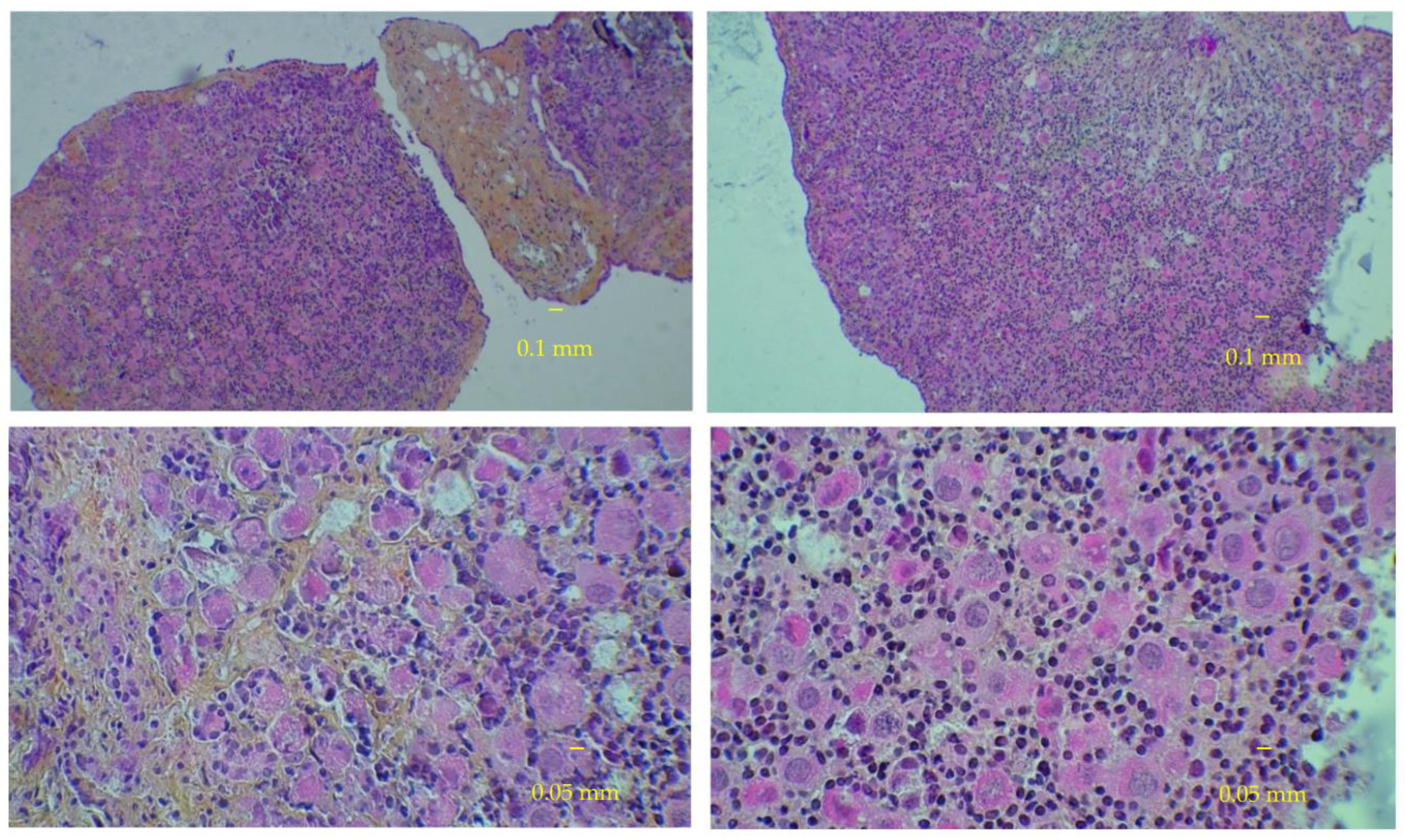 Medicina 58 01565 g003