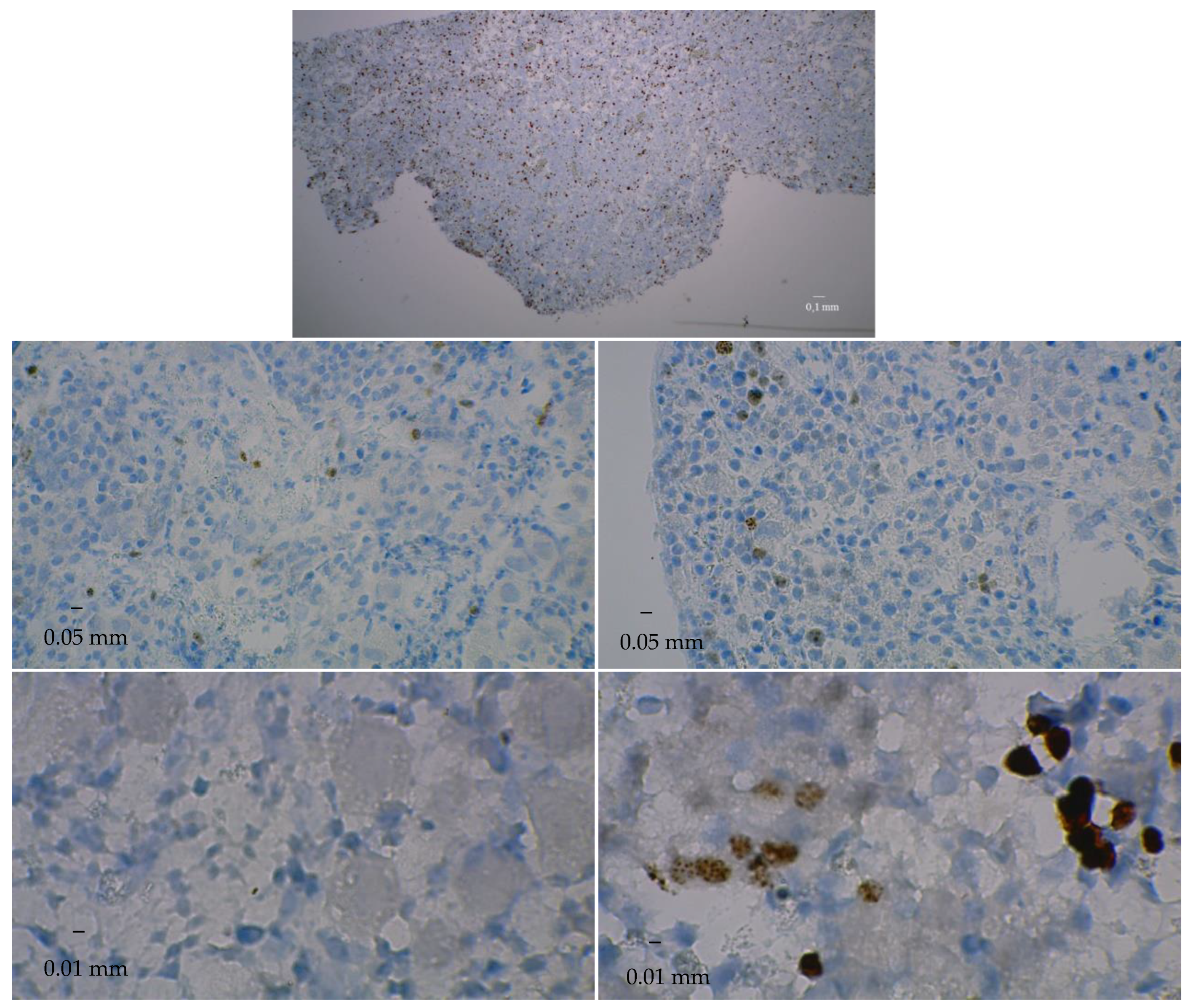 Medicina 58 01565 g006