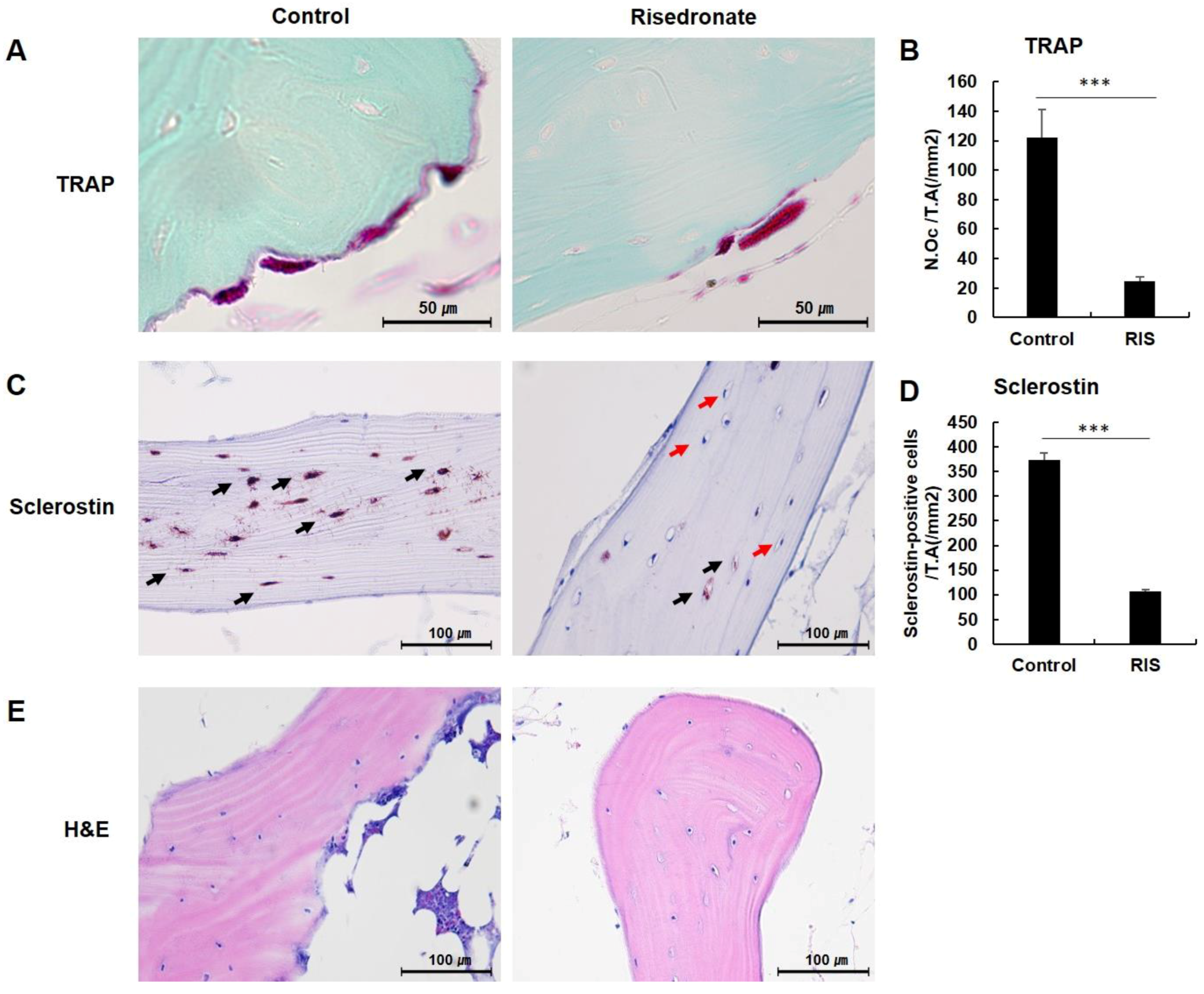 Medicina 58 01566 g002