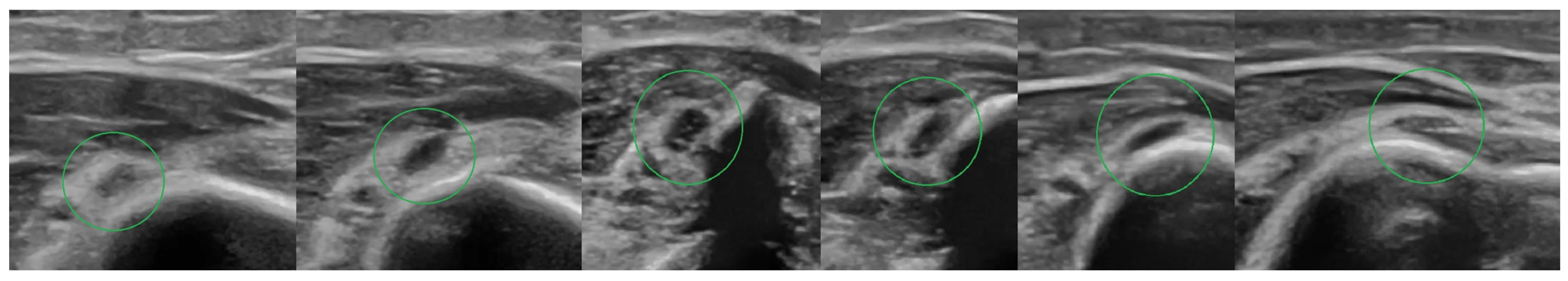 Medicina 58 01571 g004 Medicina 58 01571 g004