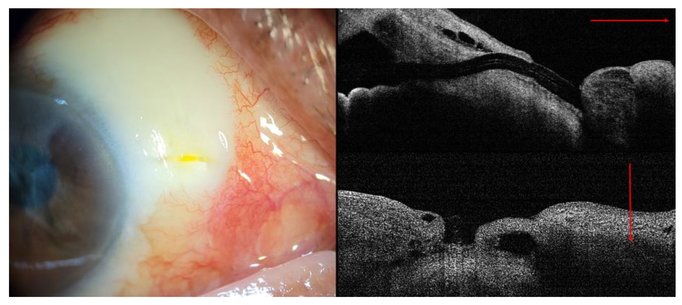 Medicina 58 01581 g003
