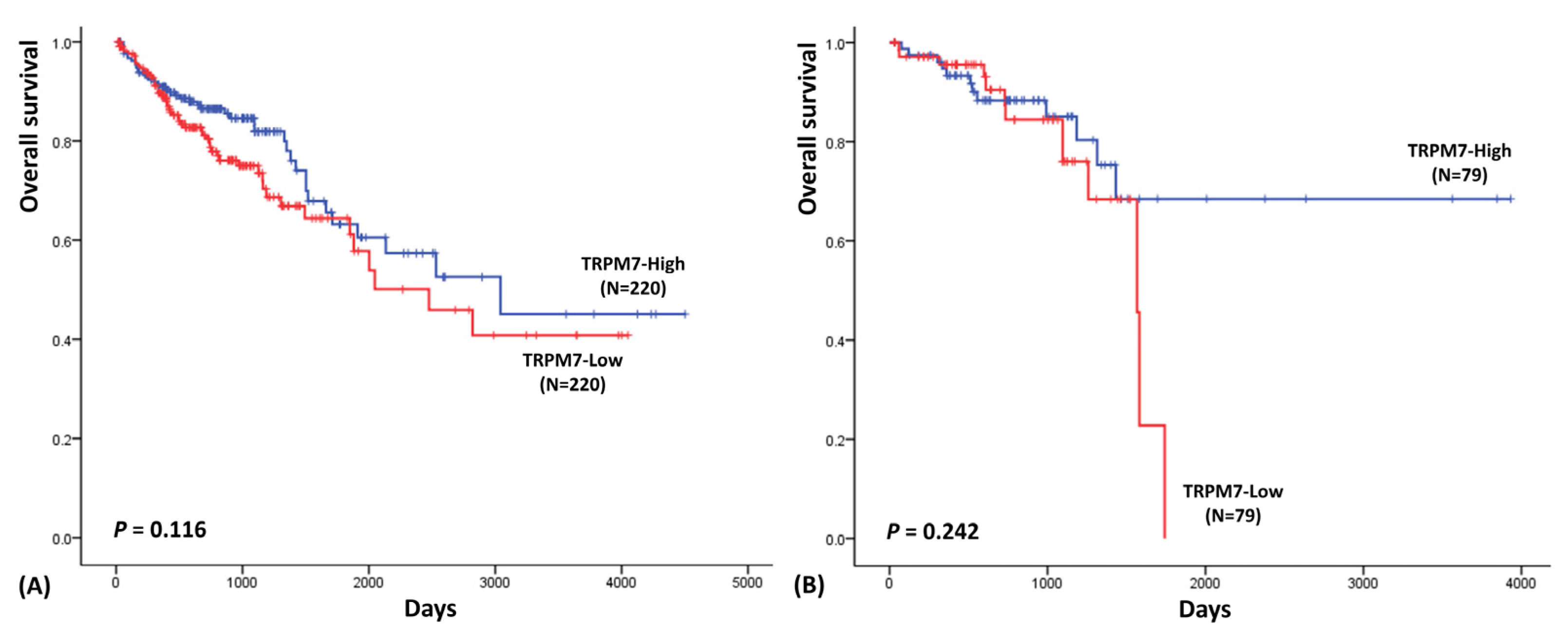 Medicina 58 01582 g001 Medicina 58 01582 g001