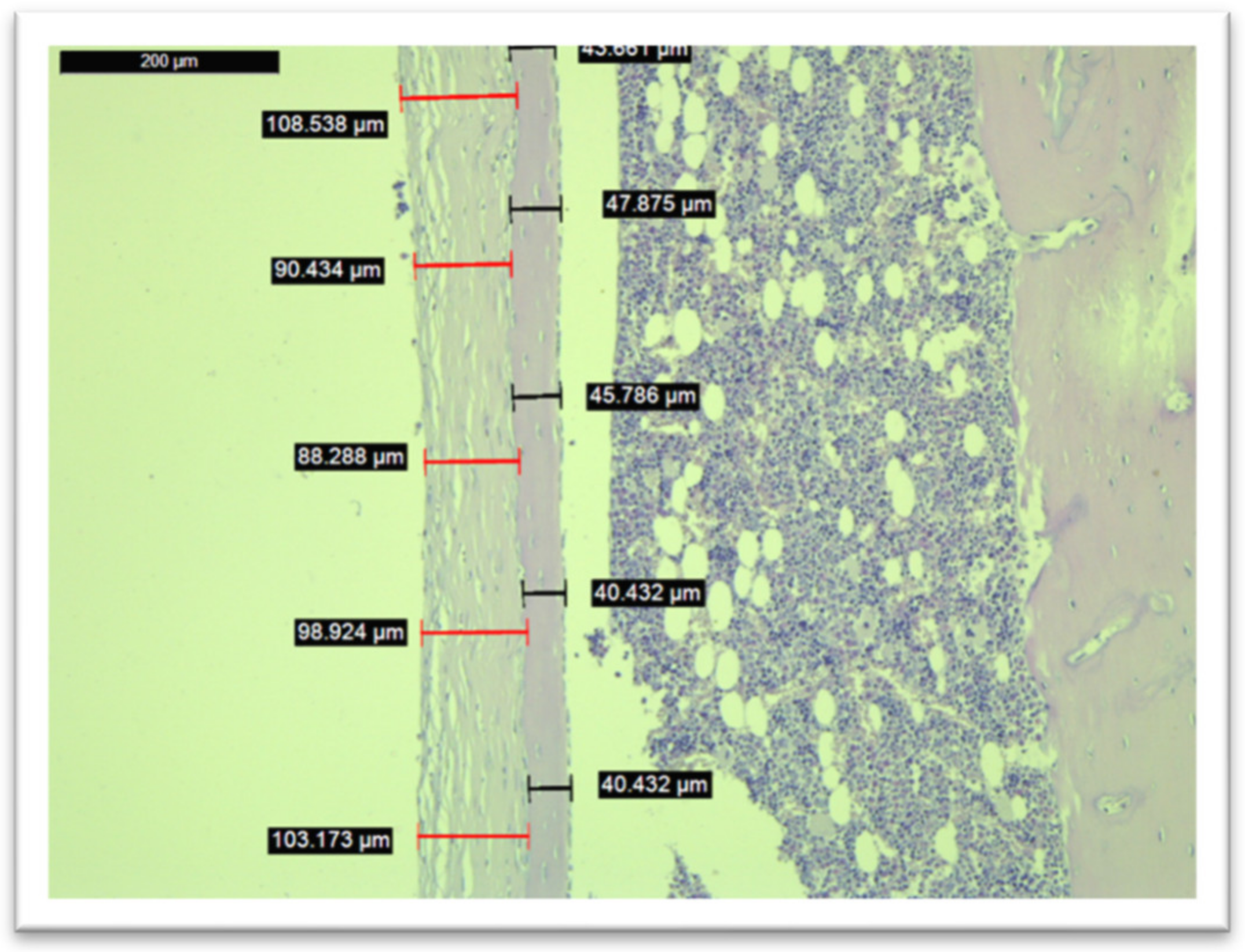 Medicina 58 01590 g007