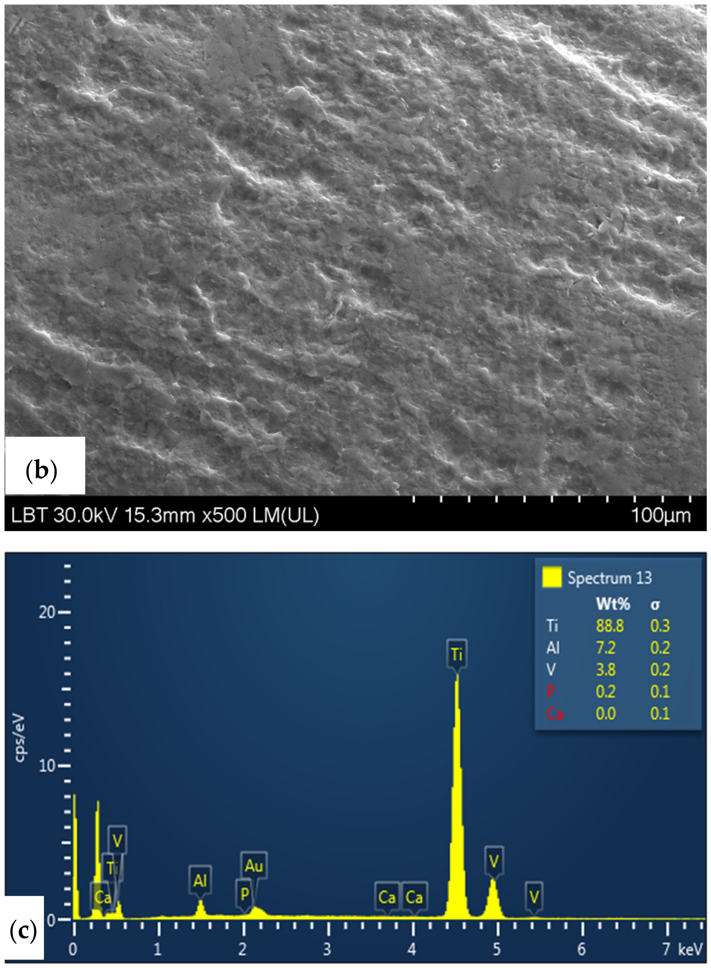 Medicina 58 01590 g010b