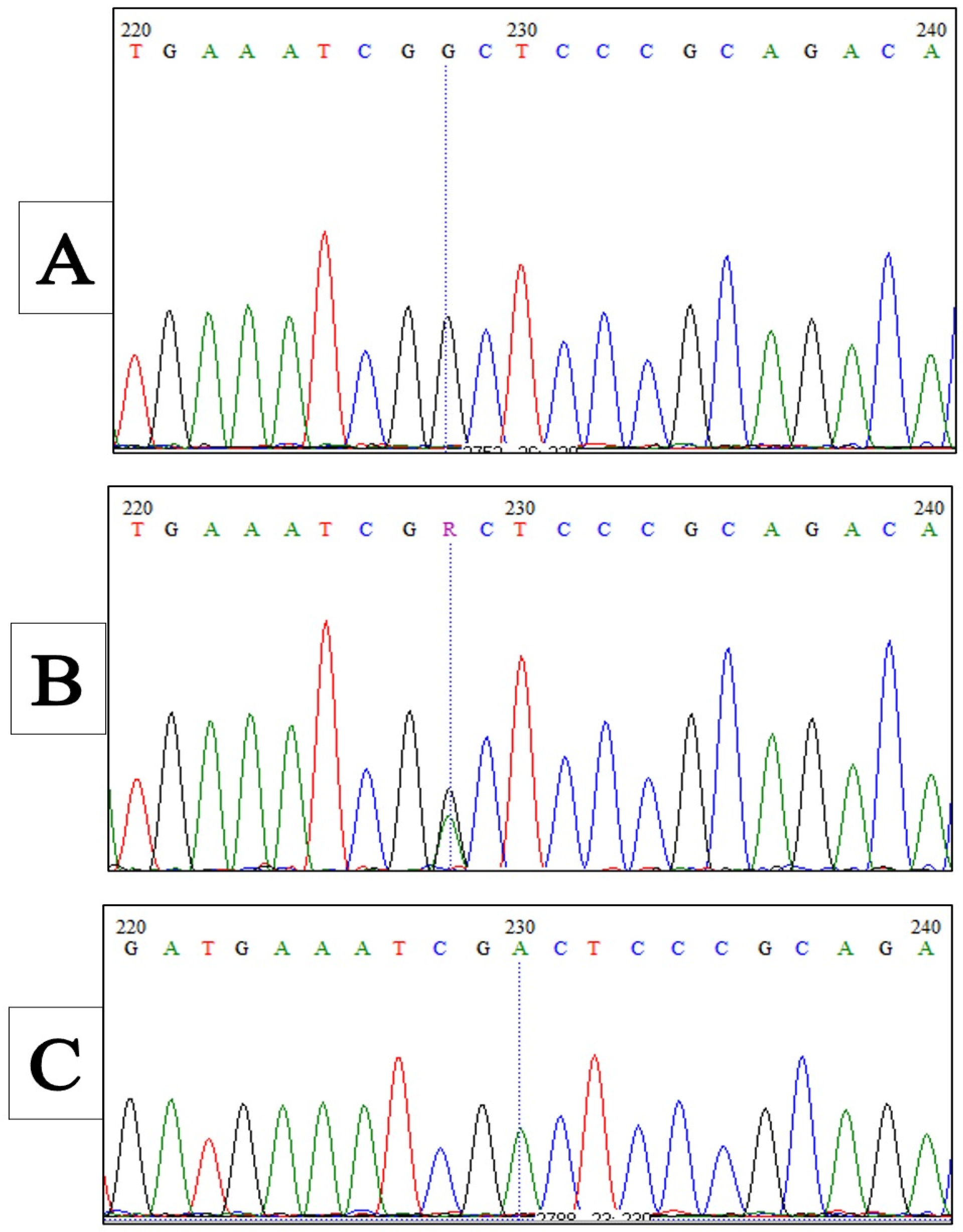 Medicina 58 01593 g003 Medicina 58 01593 g003