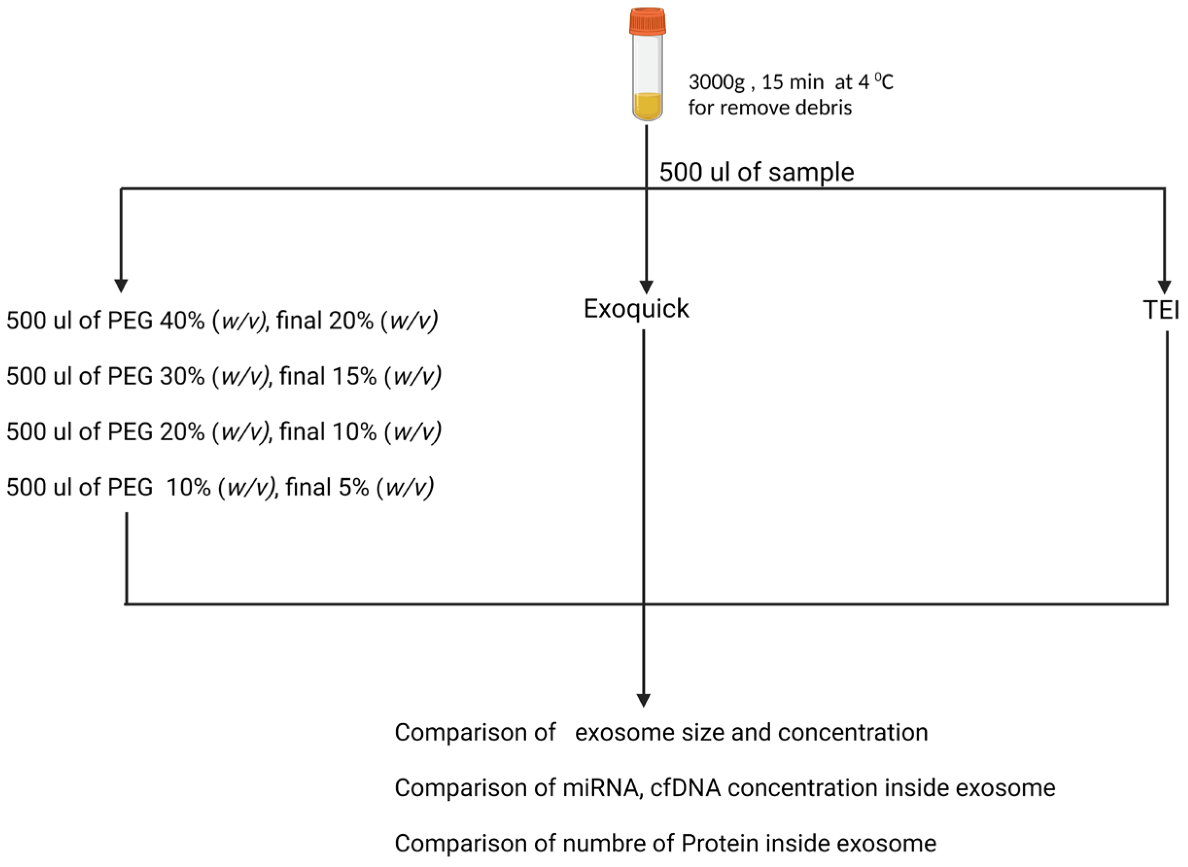 Medicina 58 01600 g001