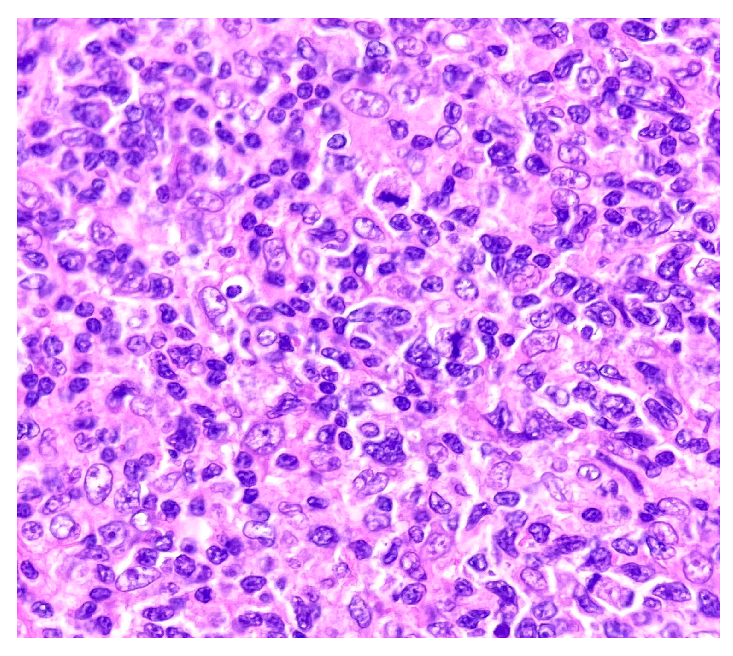 Medicina 58 01618 g003 Medicina 58 01618 g003