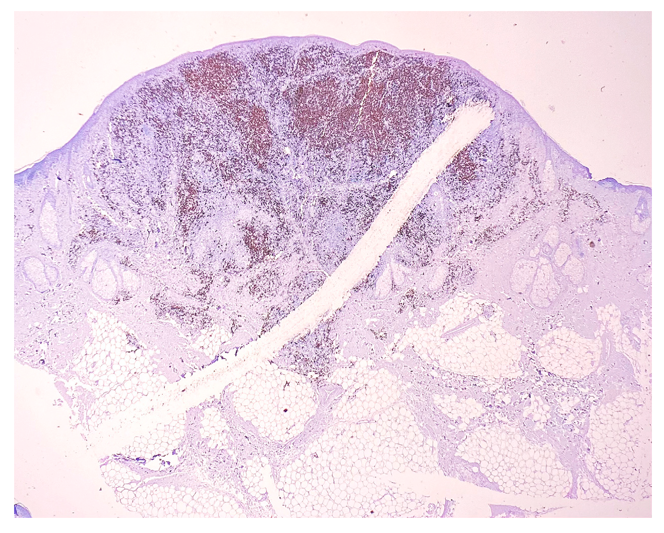 Medicina 58 01618 g004 Medicina 58 01618 g004