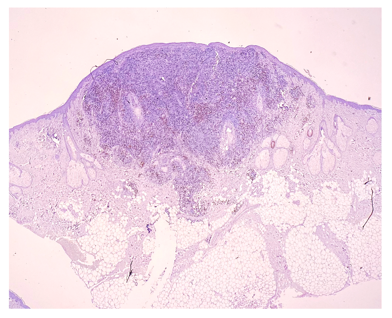 Medicina 58 01618 g007 Medicina 58 01618 g007