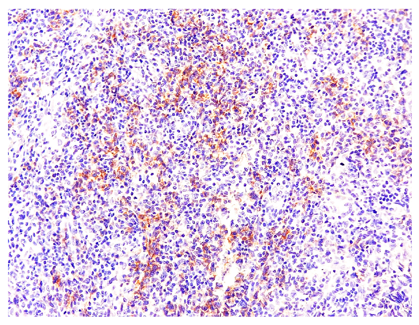 Medicina 58 01618 g008 Medicina 58 01618 g008