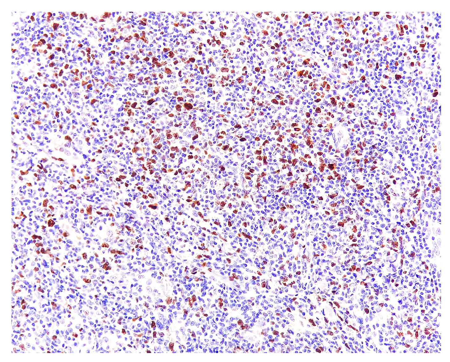 Medicina 58 01618 g009 Medicina 58 01618 g009