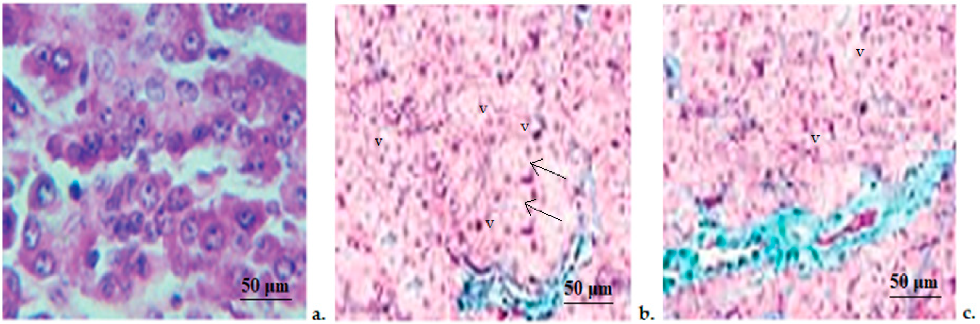 Medicina 58 01620 g003