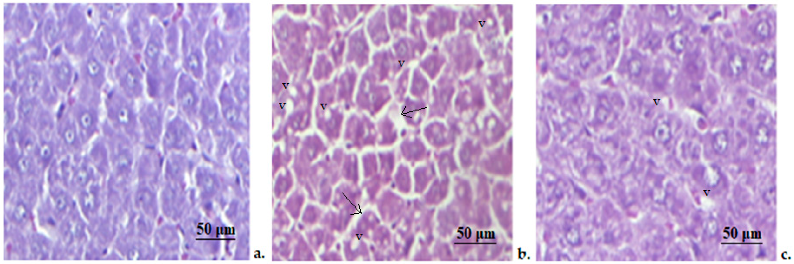 Medicina 58 01620 g004