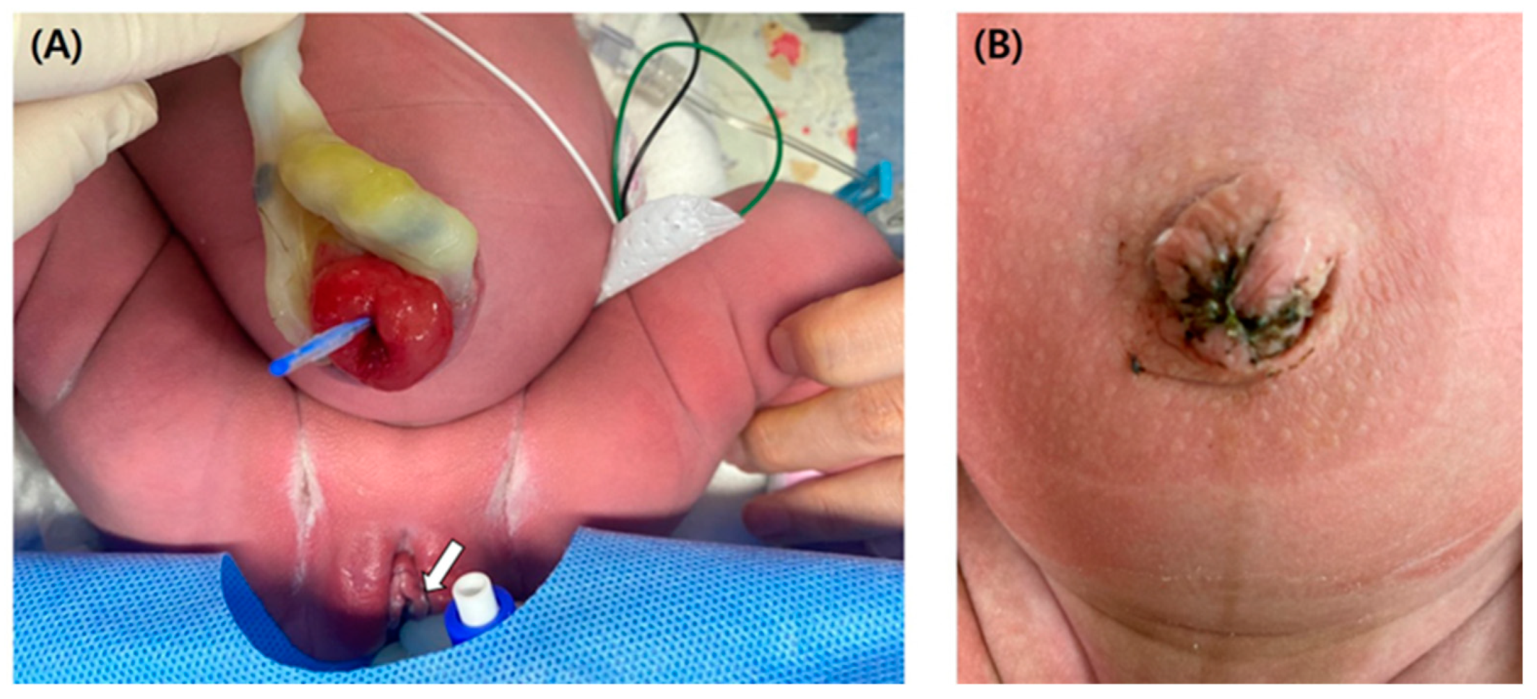Medicina 58 01621 g002