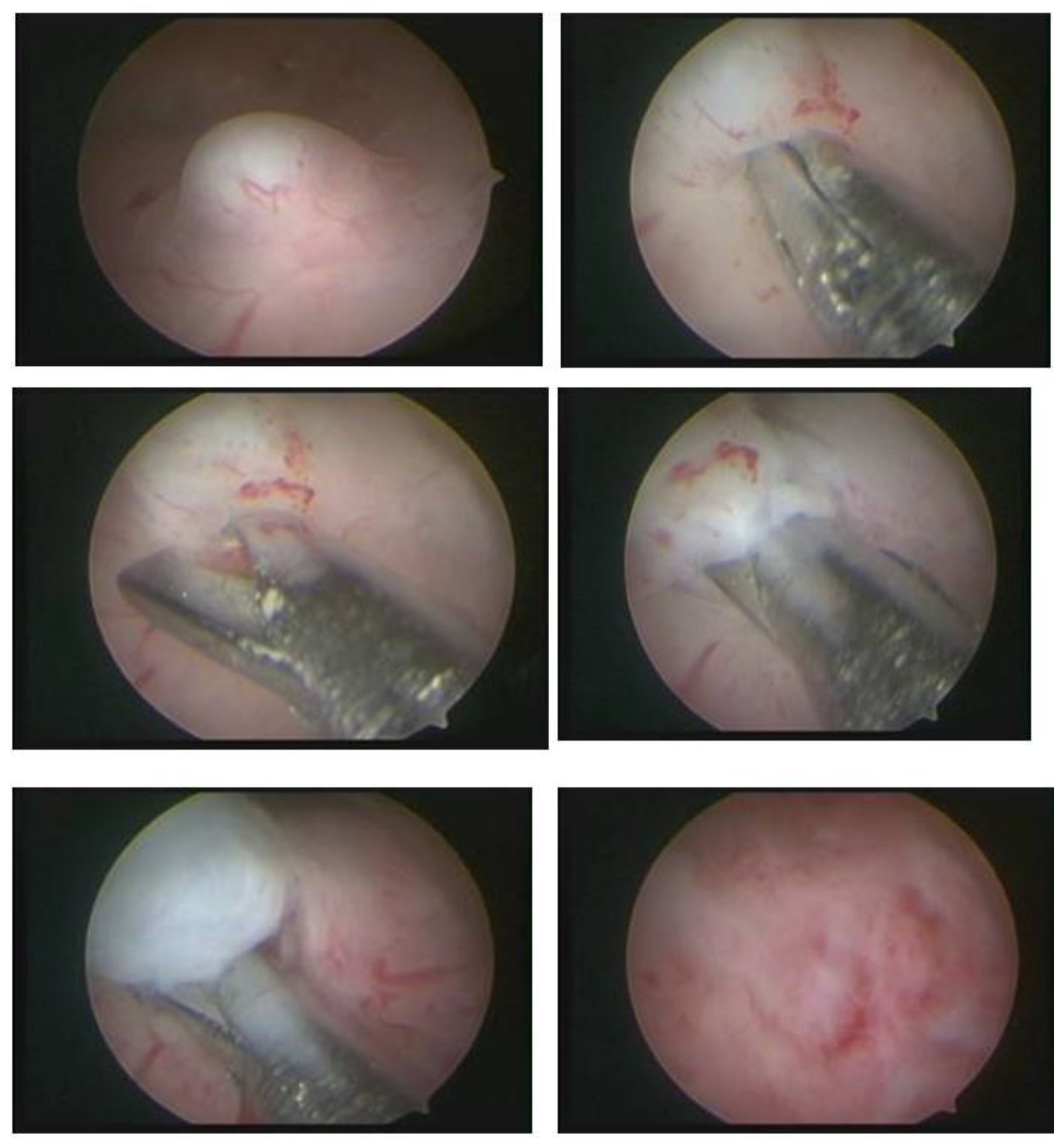 Medicina 58 01627 g007