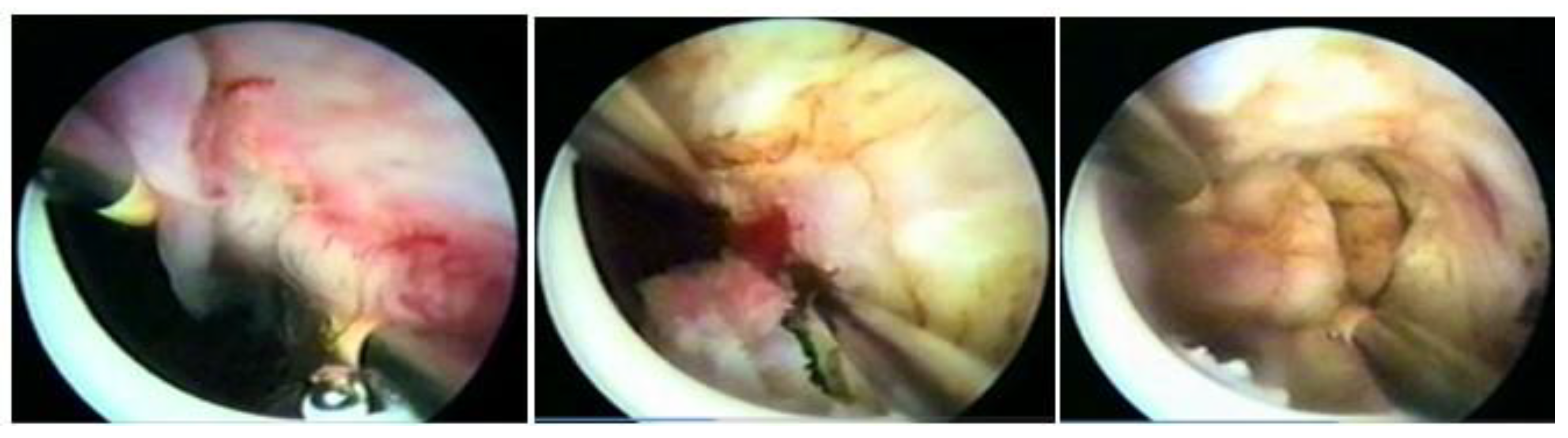 Medicina 58 01627 g010