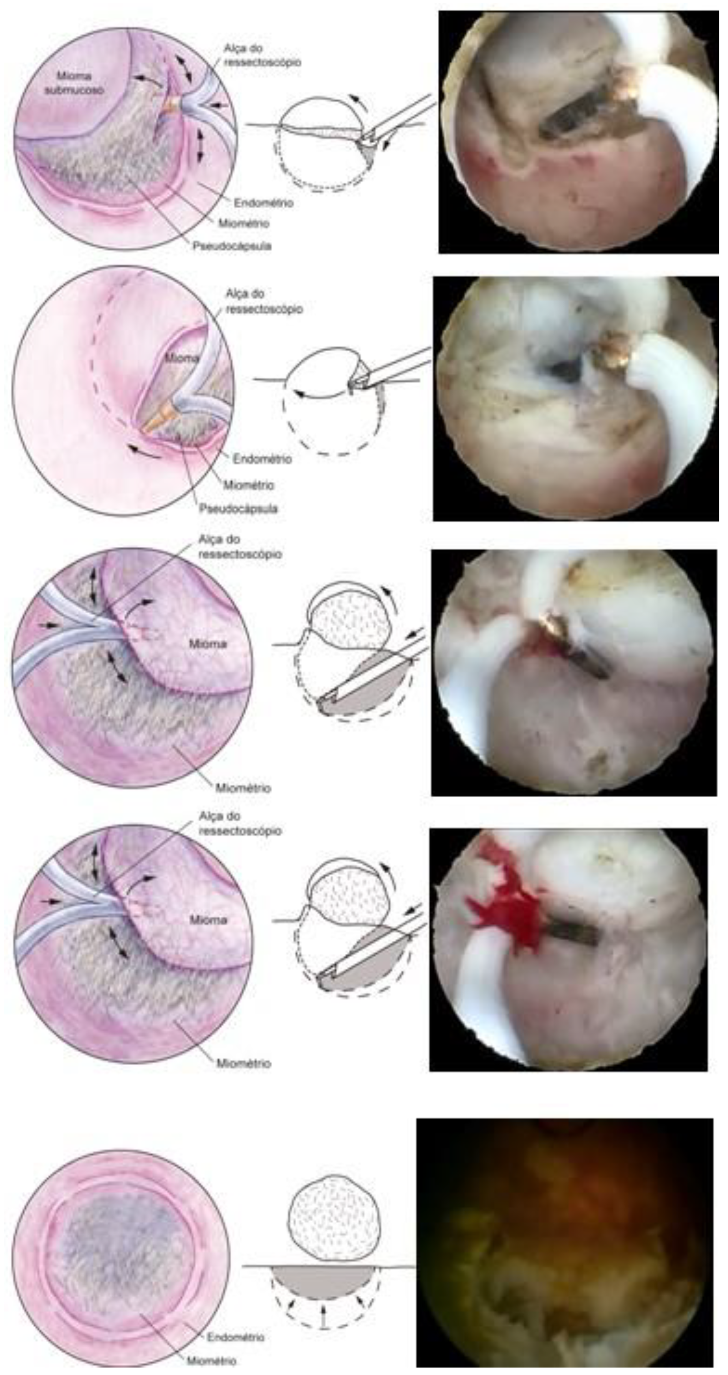 Medicina 58 01627 g014