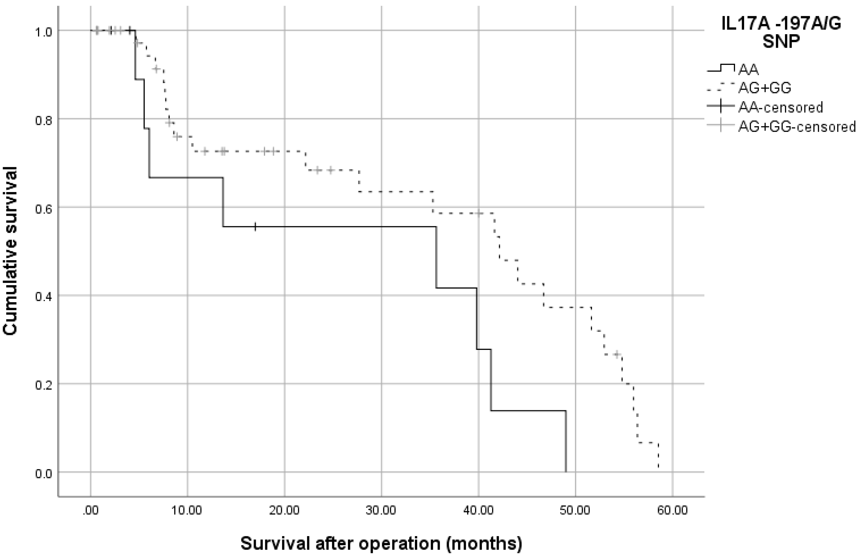 Medicina 58 01632 g006