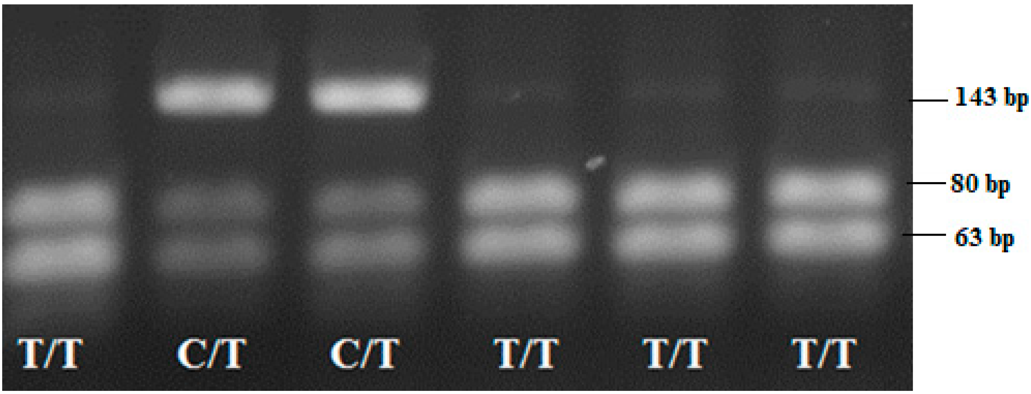 Medicina 58 01632 g007