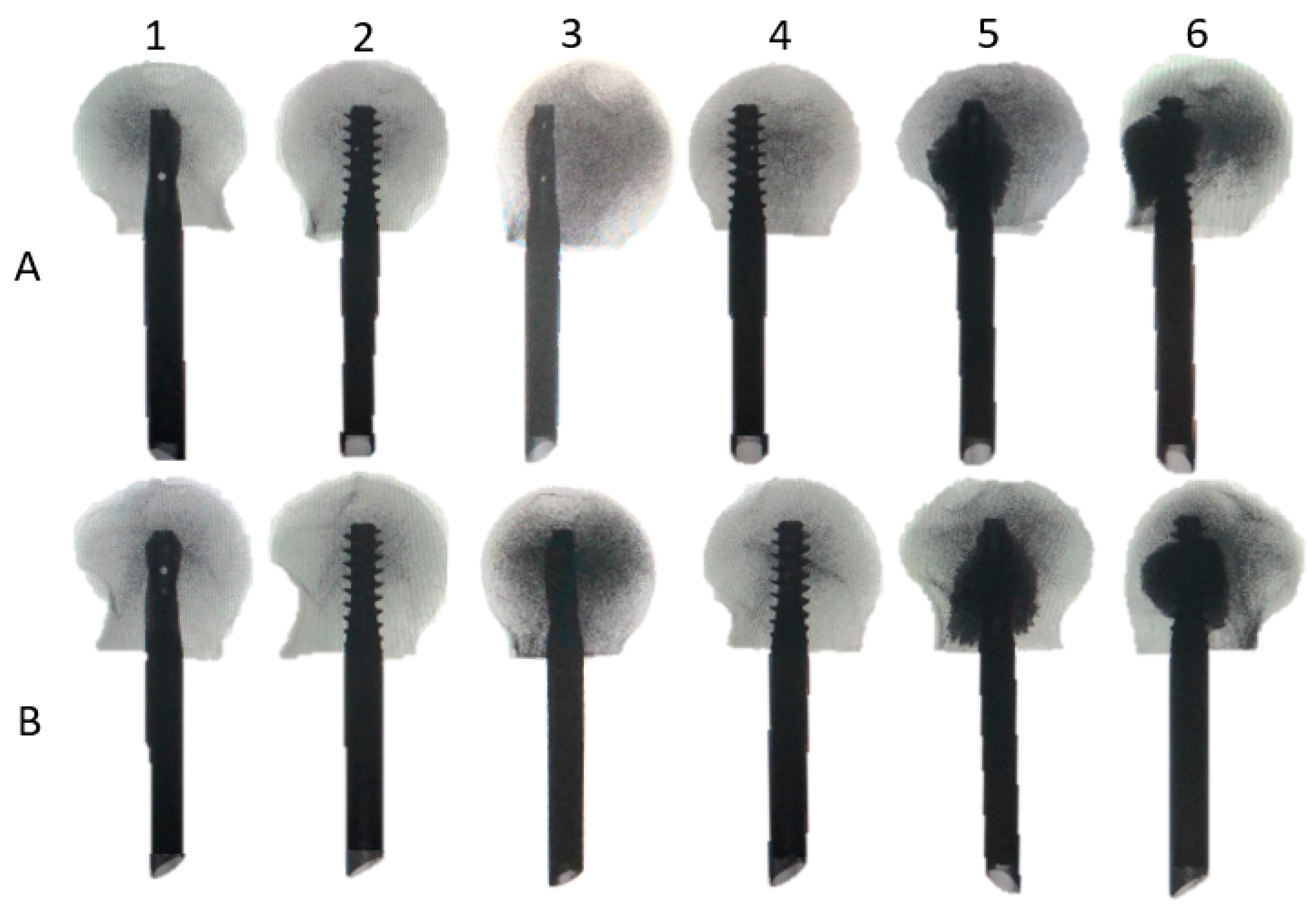 Medicina 58 01636 g002 Medicina 58 01636 g002