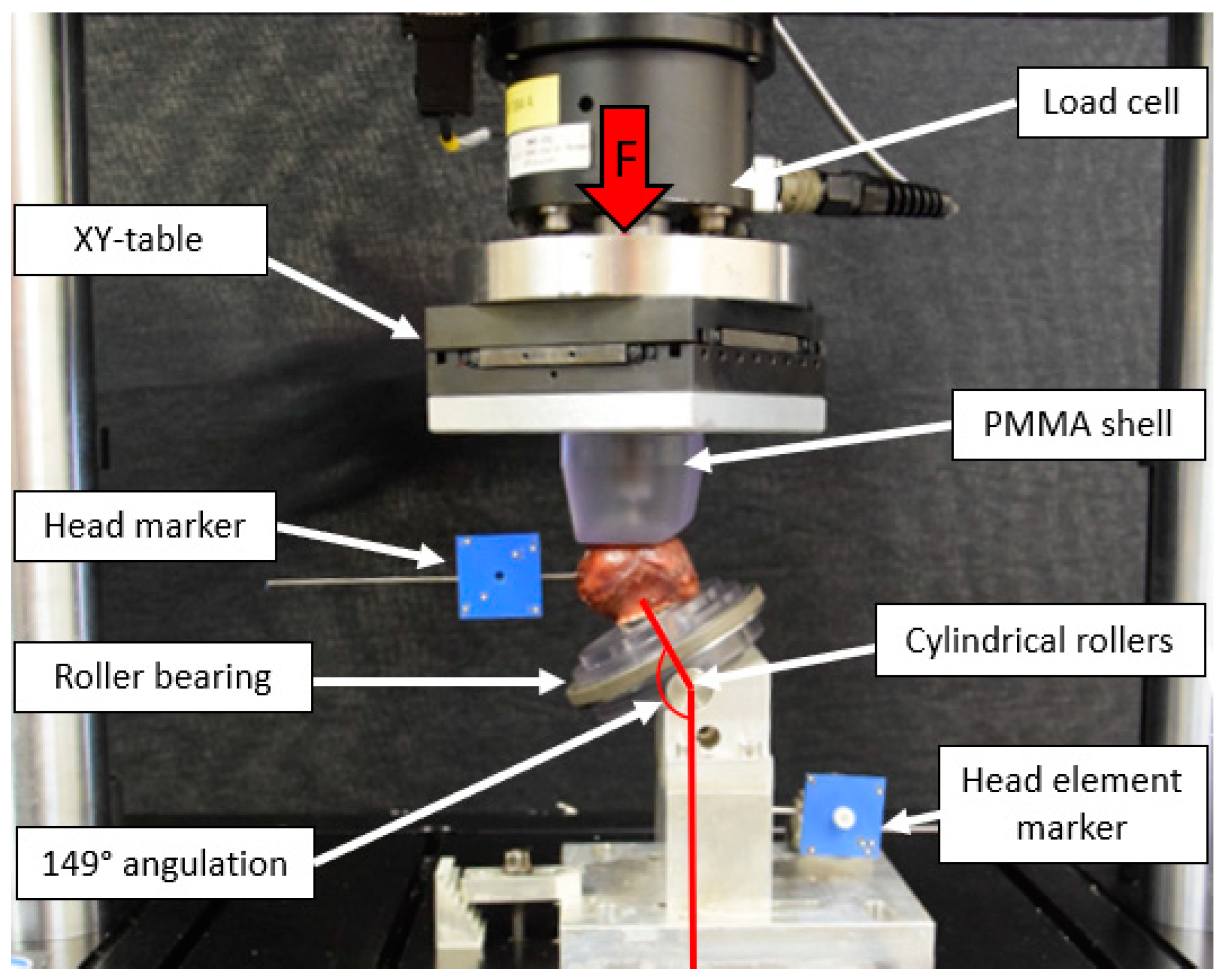 Medicina 58 01636 g003 Medicina 58 01636 g003