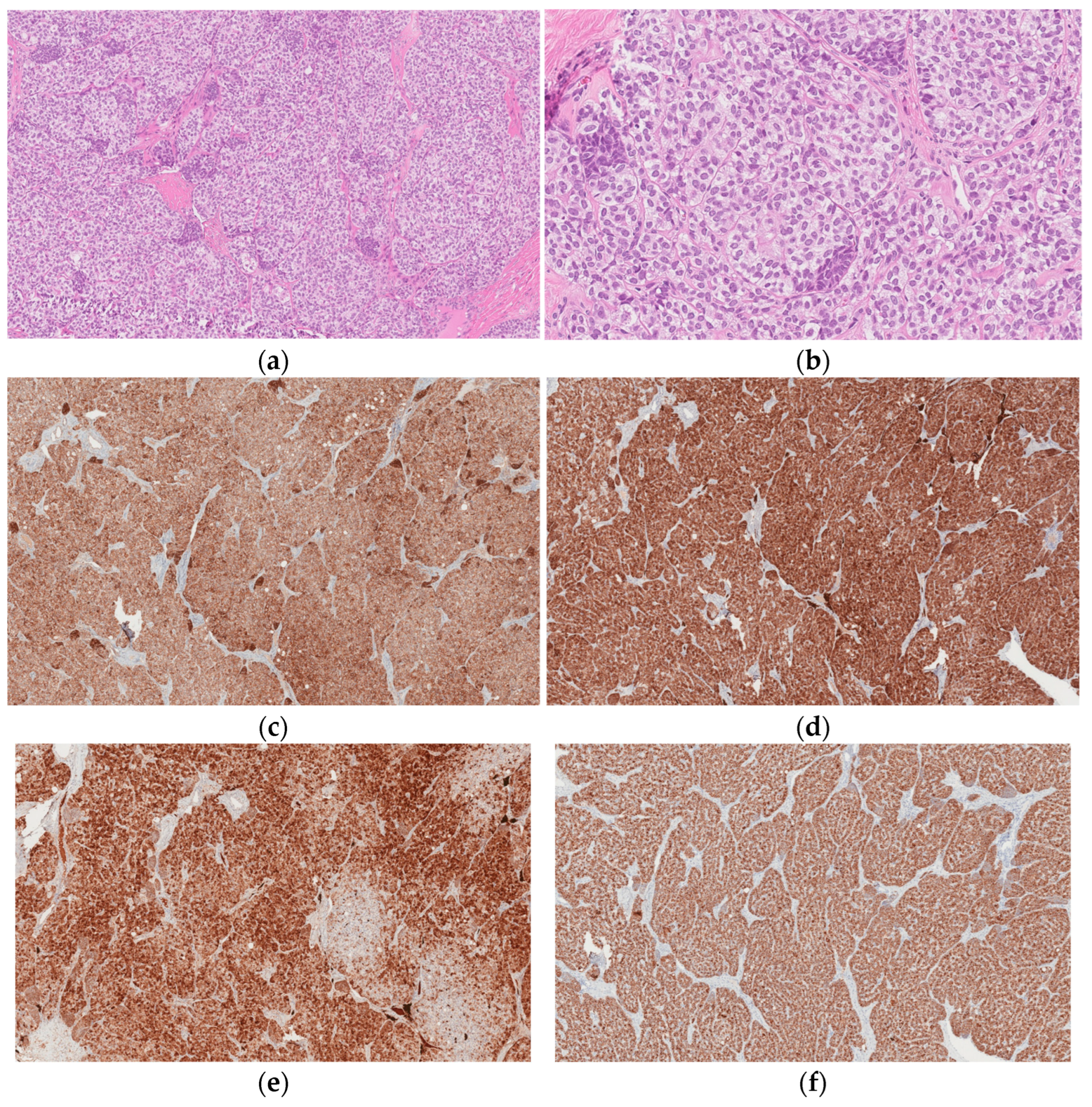 Medicina 58 01638 g002