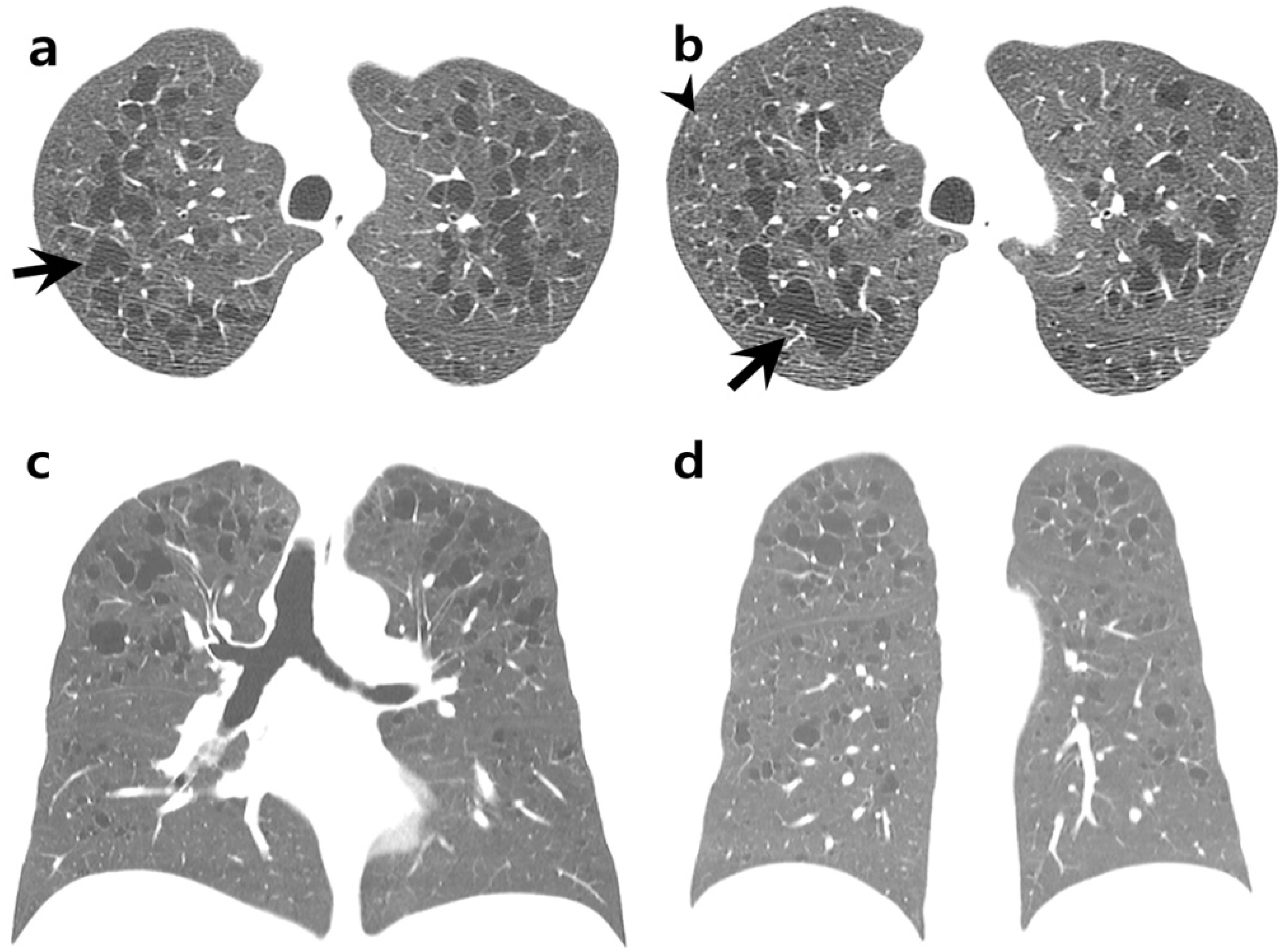 Medicina 58 01648 g001a