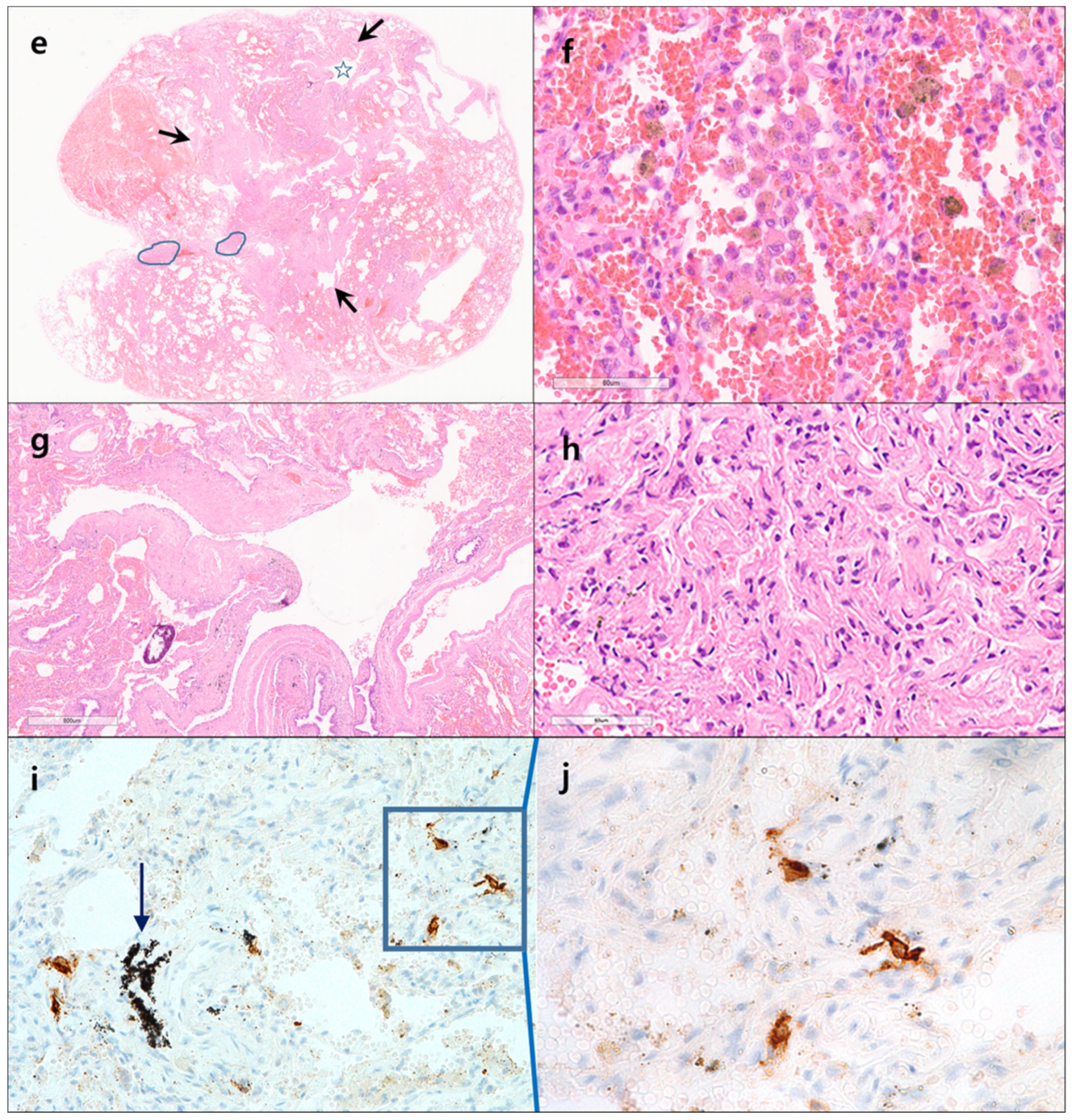 Medicina 58 01648 g001b