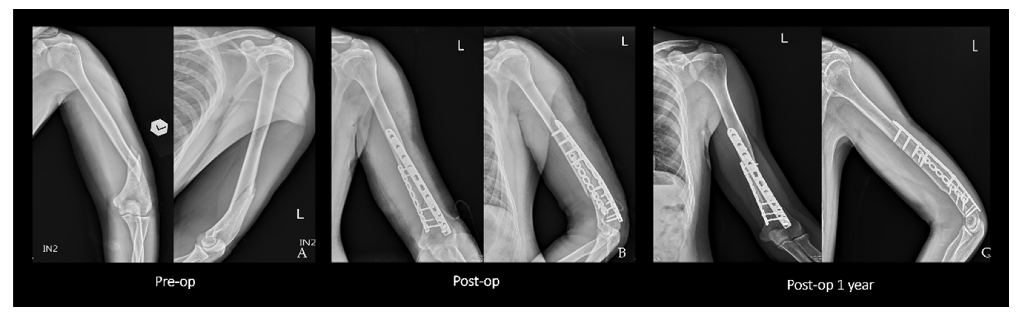 Medicina 58 01654 g002
