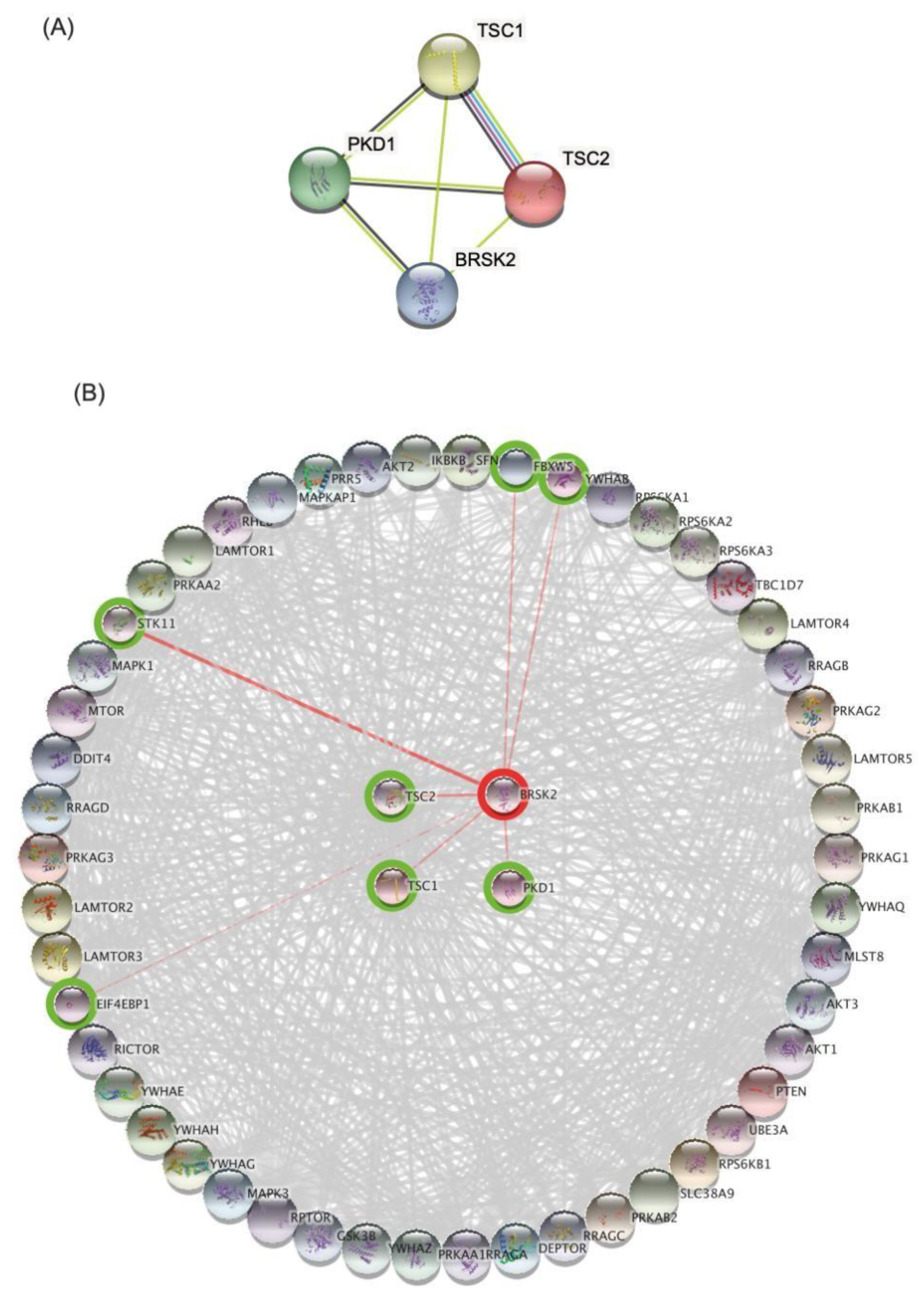 Medicina 58 01657 g002