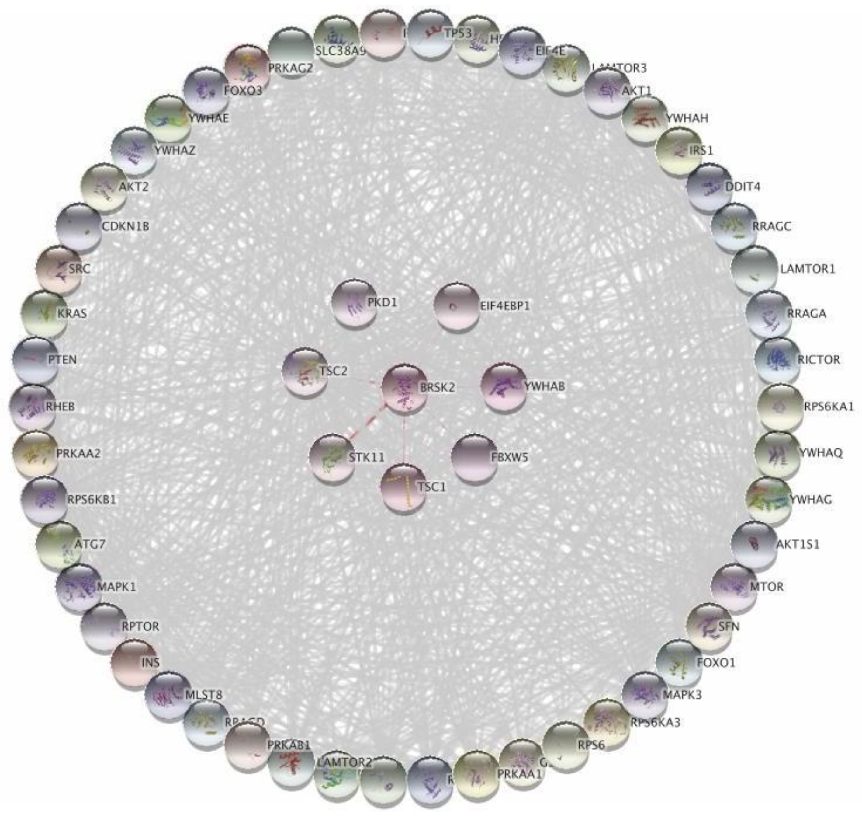 Medicina 58 01657 g003