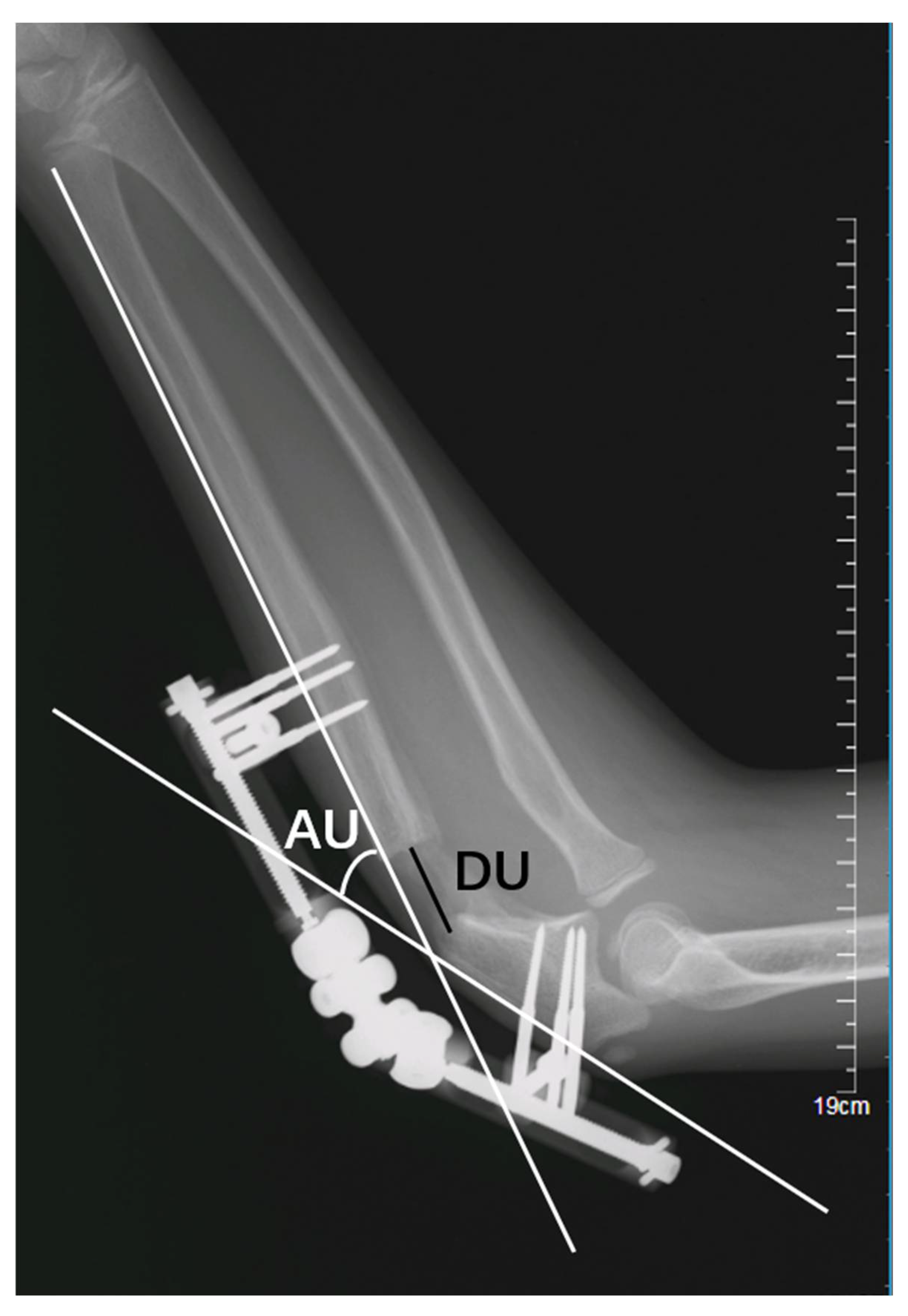 Medicina 58 01666 g003 Medicina 58 01666 g003