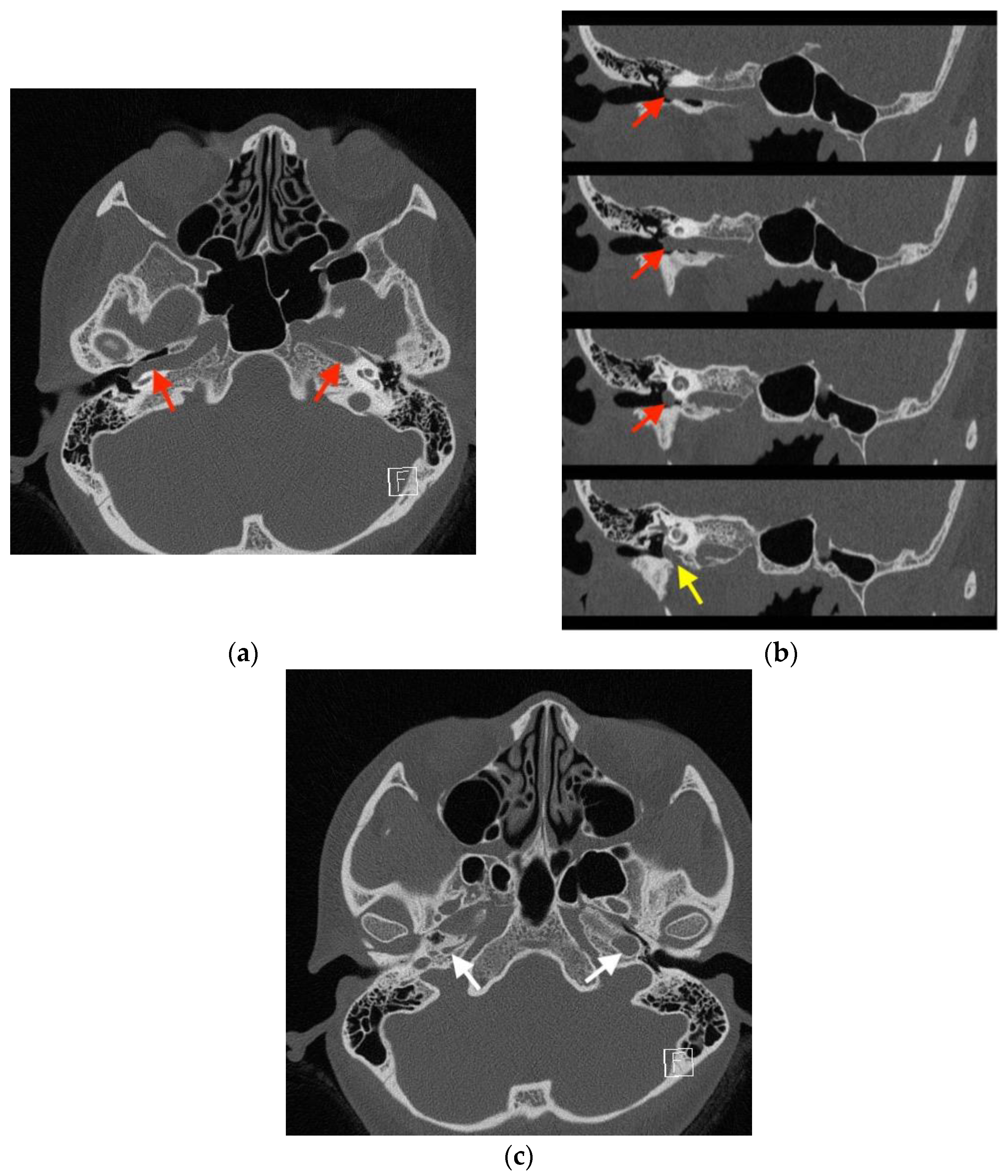Medicina 58 01672 g003