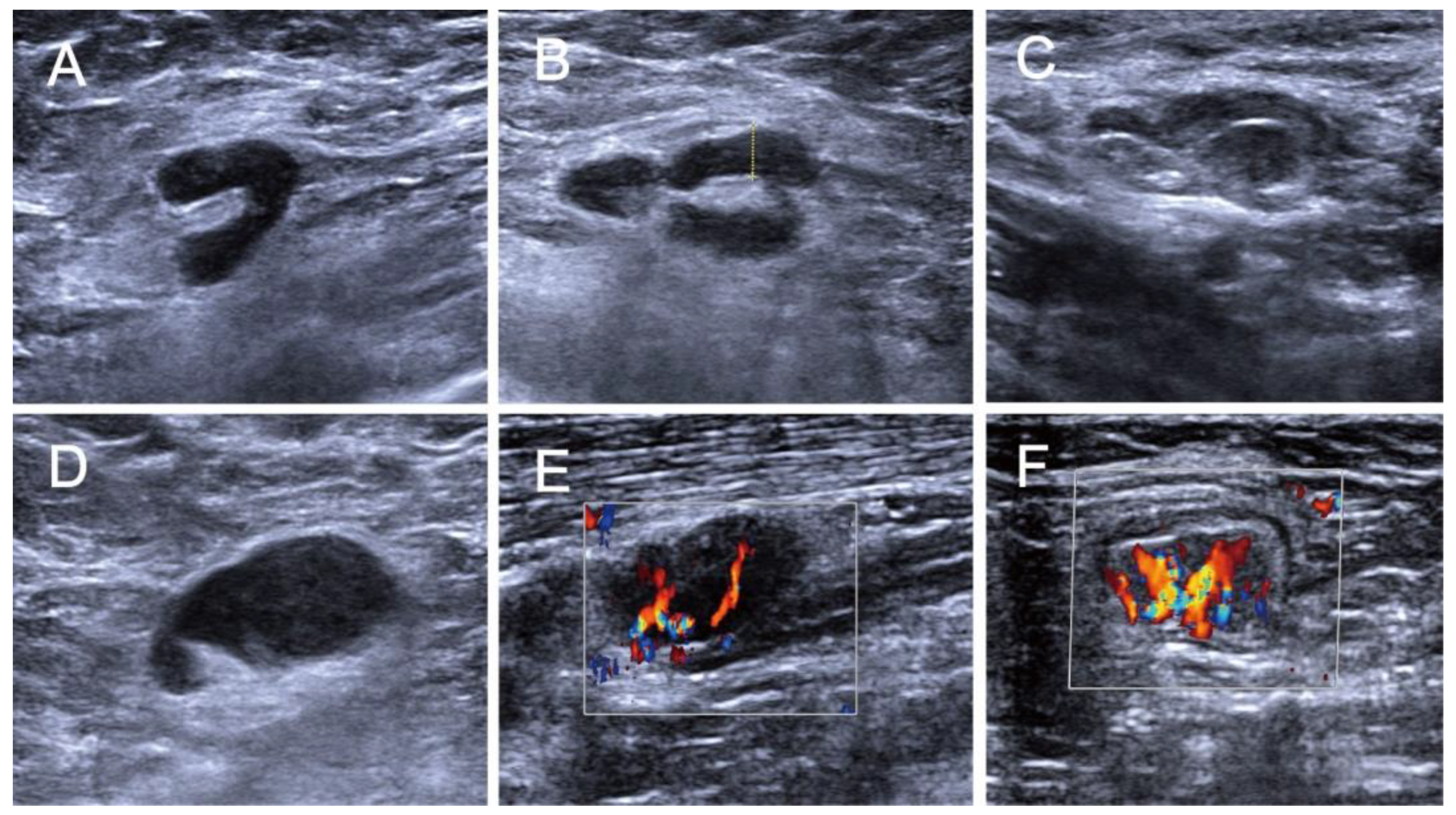 Medicina 58 01674 g001