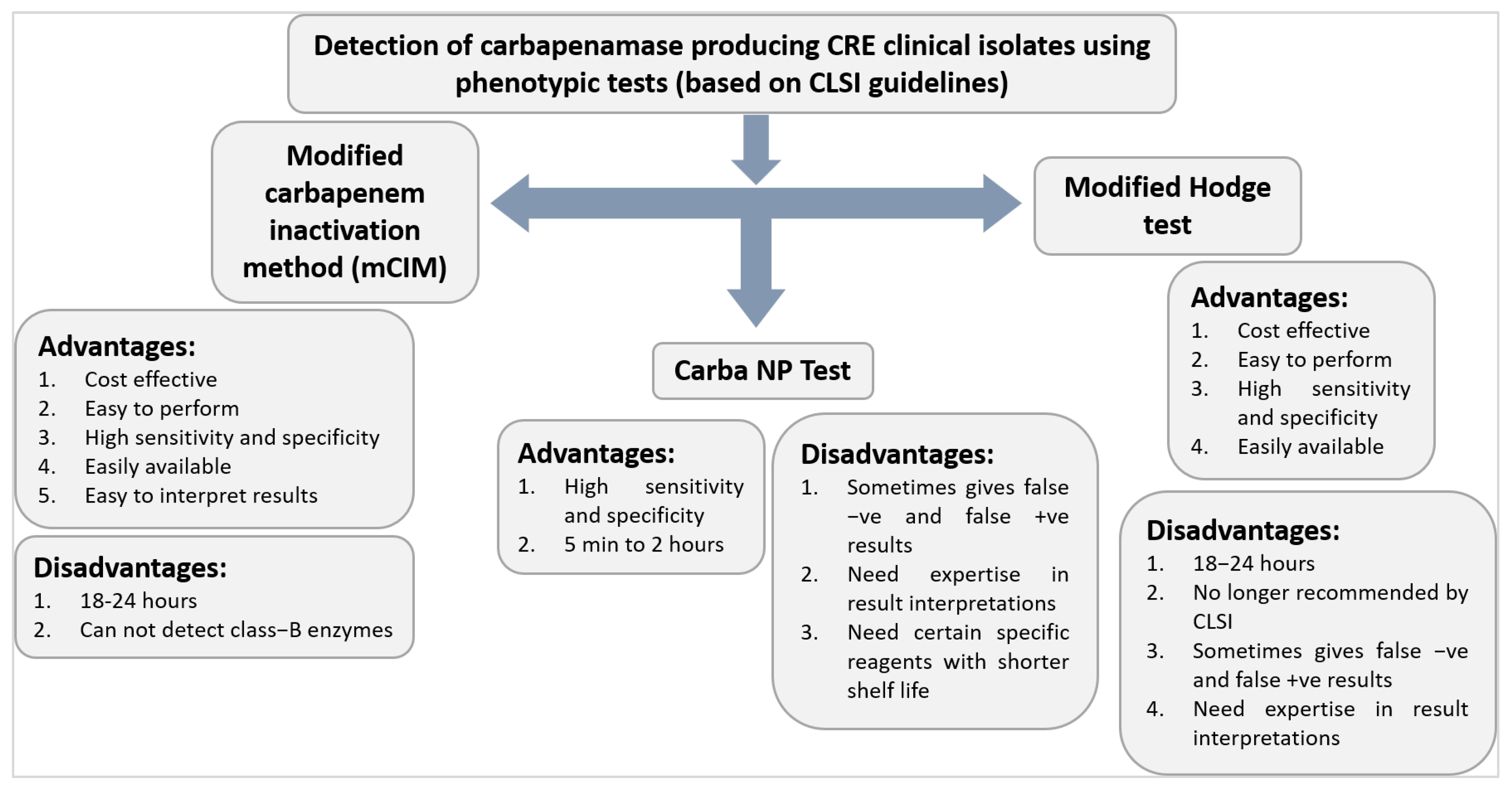 Medicina 58 01675 g004 Medicina 58 01675 g004