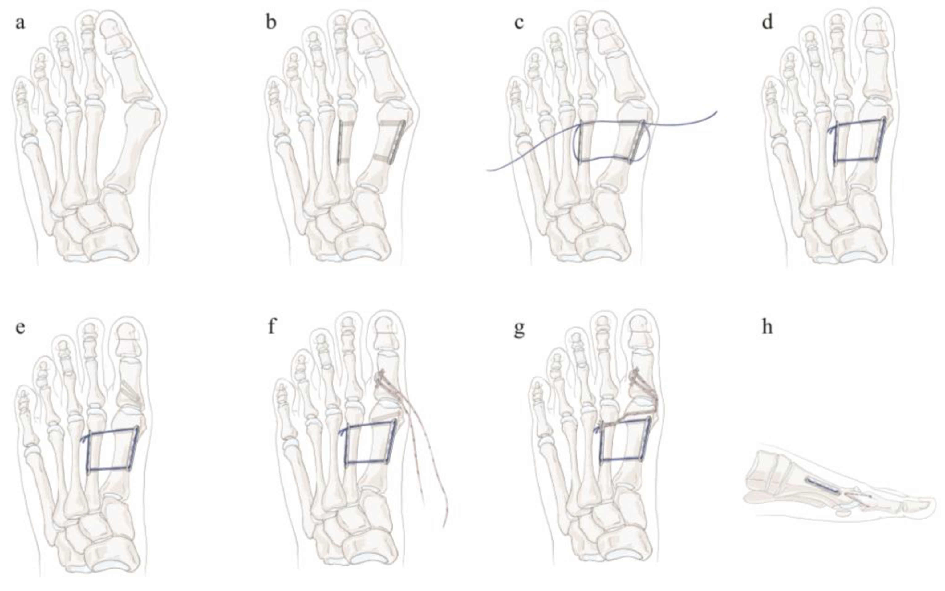 Medicina 58 01679 g001