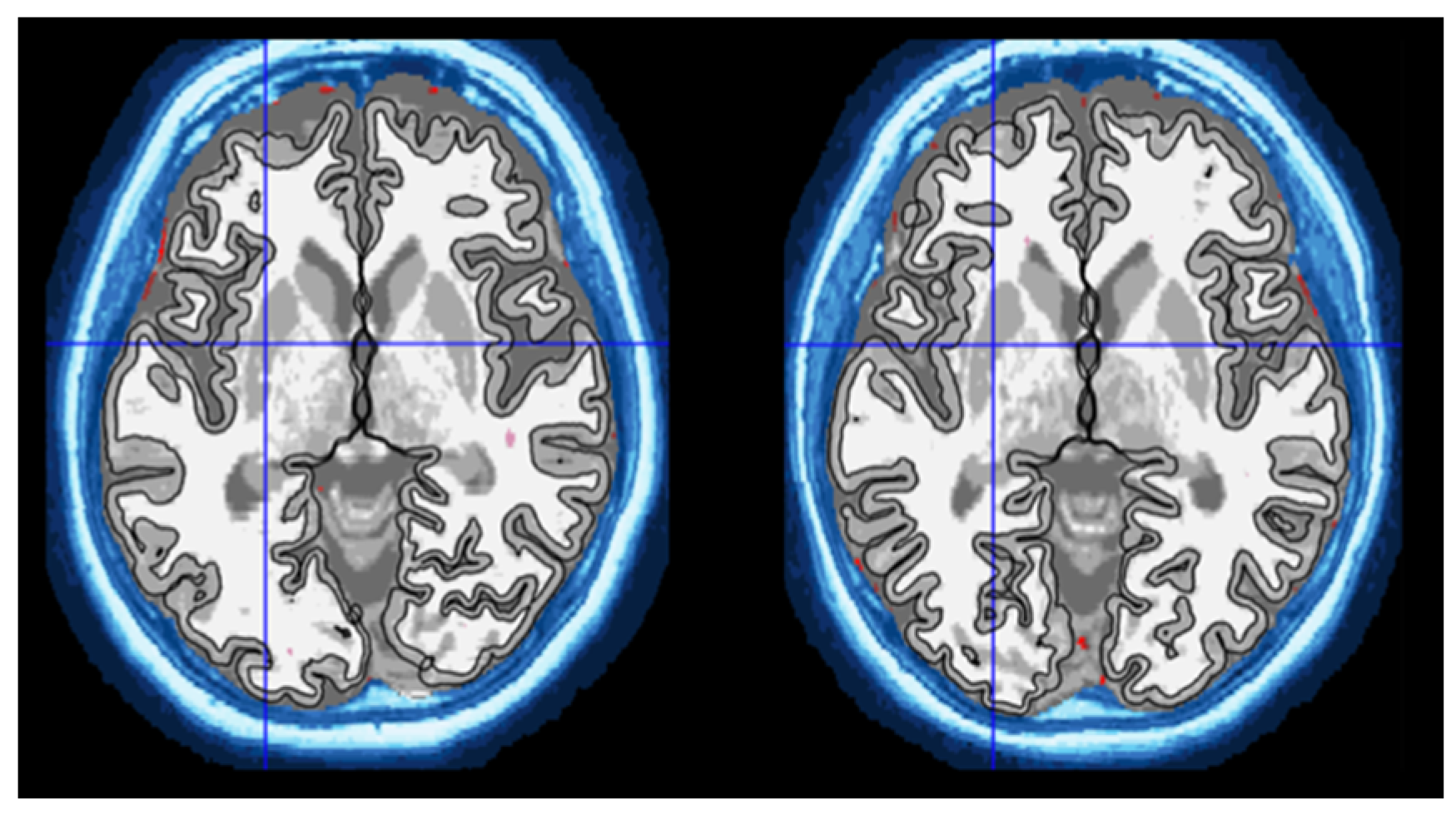 Medicina 58 01687 g001 Medicina 58 01687 g001