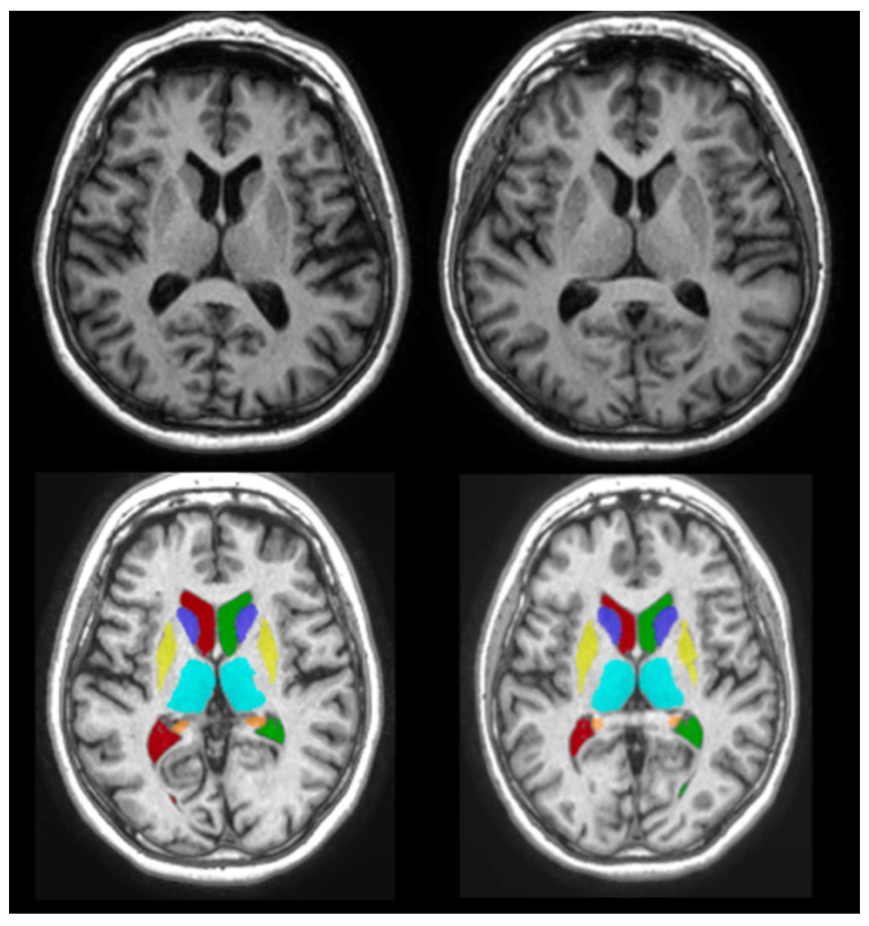 Medicina 58 01687 g002 Medicina 58 01687 g002