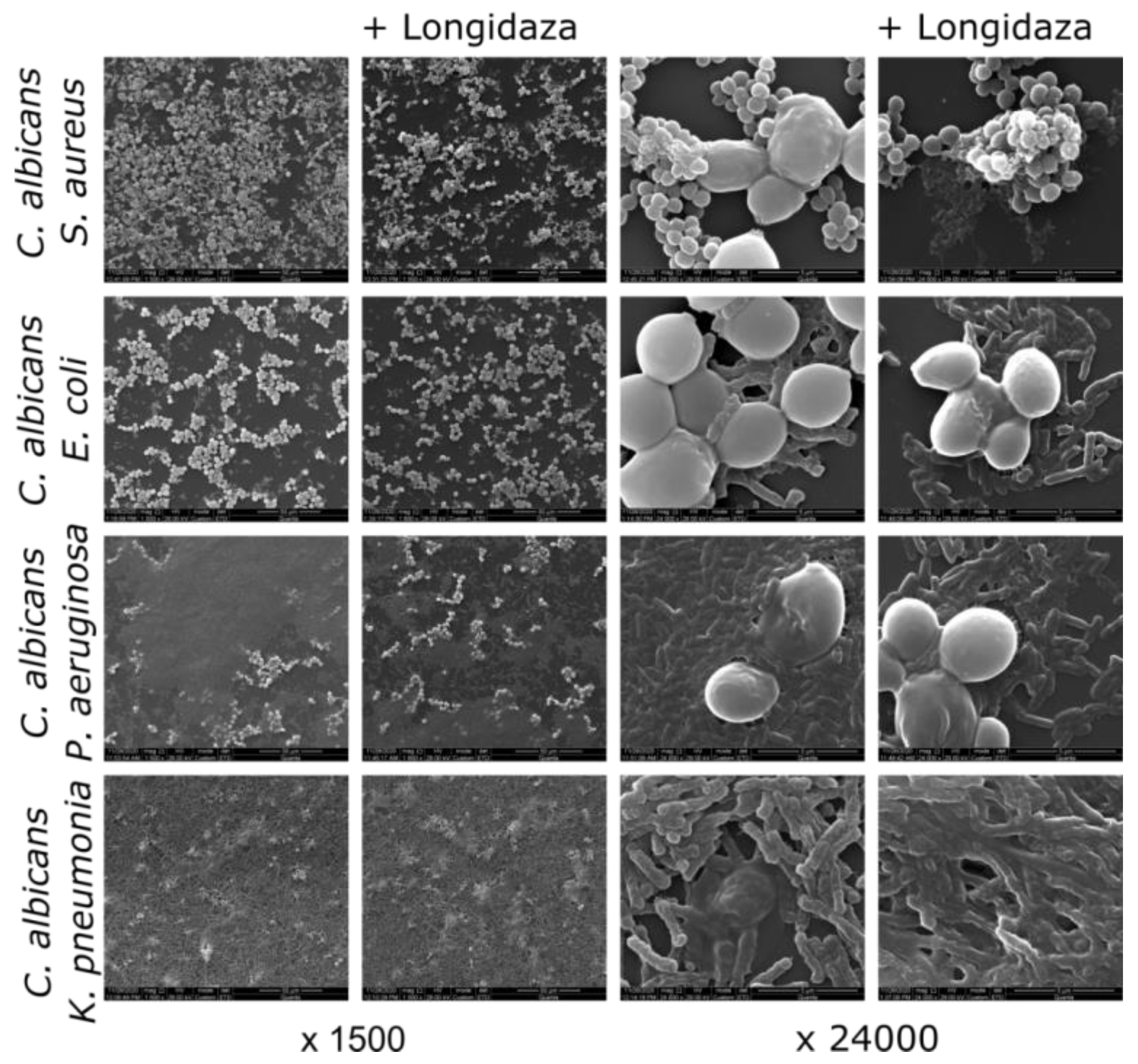 Medicina 58 01710 g004