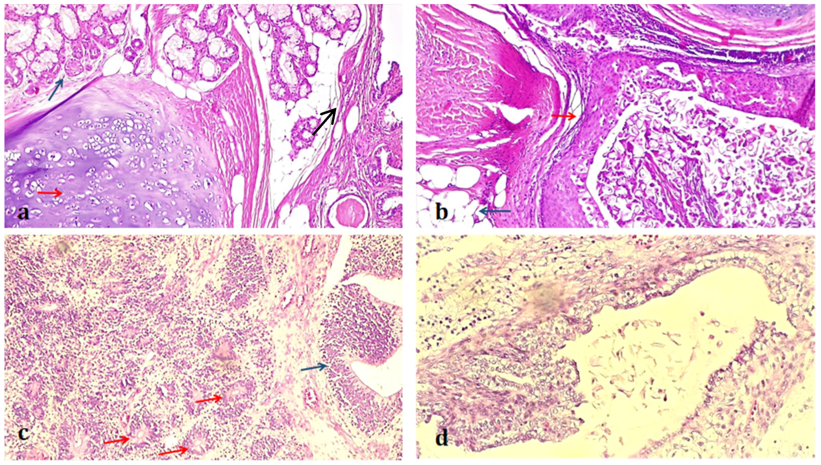 Medicina 58 01715 g002