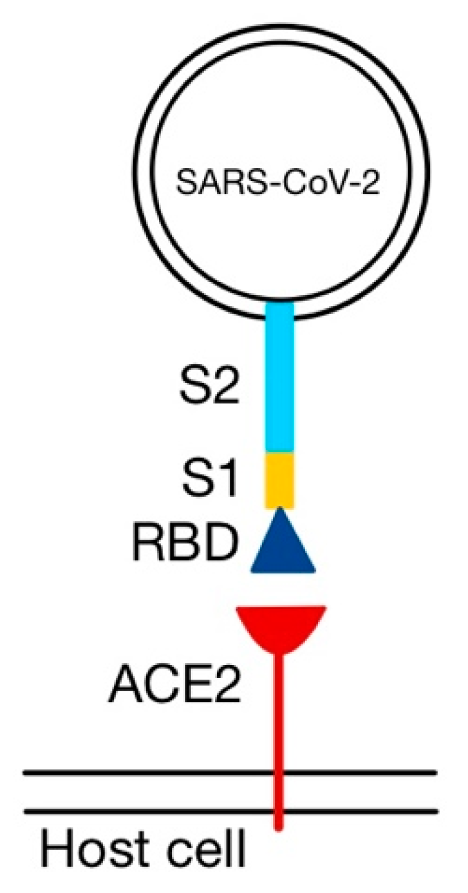 Medicina 58 01717 g005
