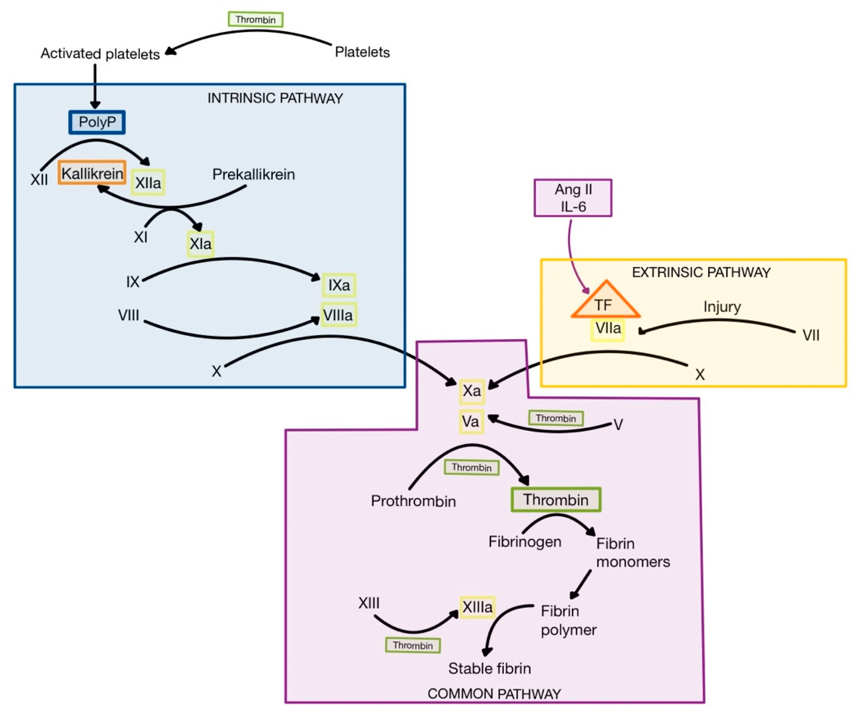 Medicina 58 01717 g009