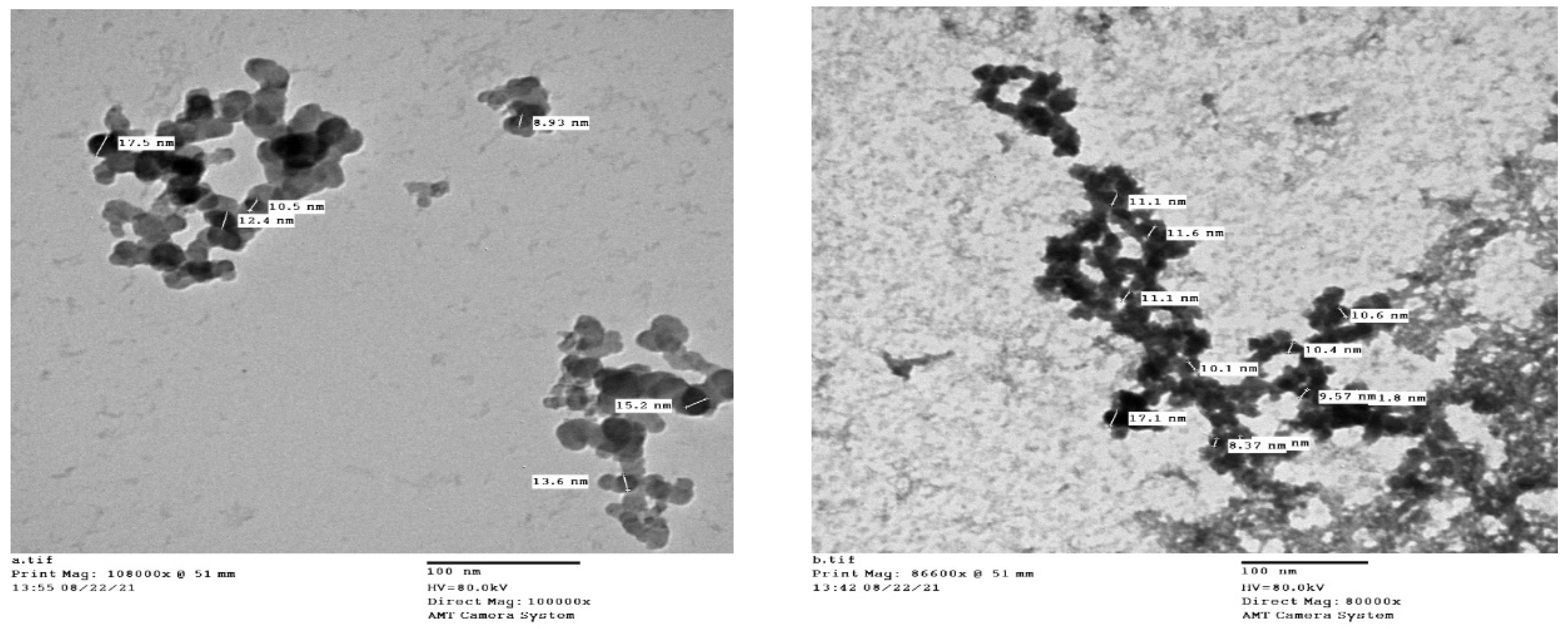Medicina 58 01719 g001 Medicina 58 01719 g001